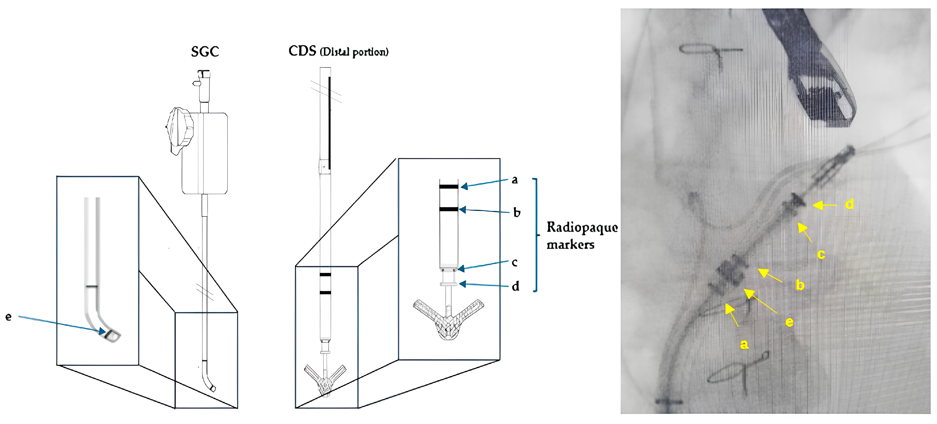 Medicina 60 01082 g008 Medicina 60 01082 g008