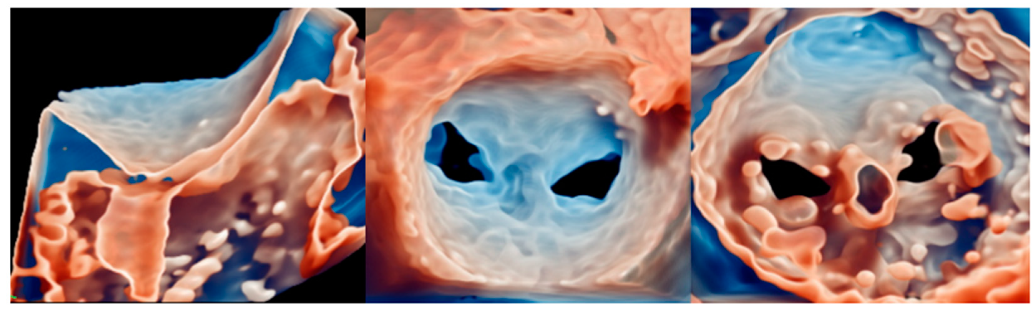 Medicina 60 01082 g010 Medicina 60 01082 g010