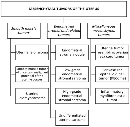 Medicina Free Full Text Uterine Mesenchymal Tumors Updates on  