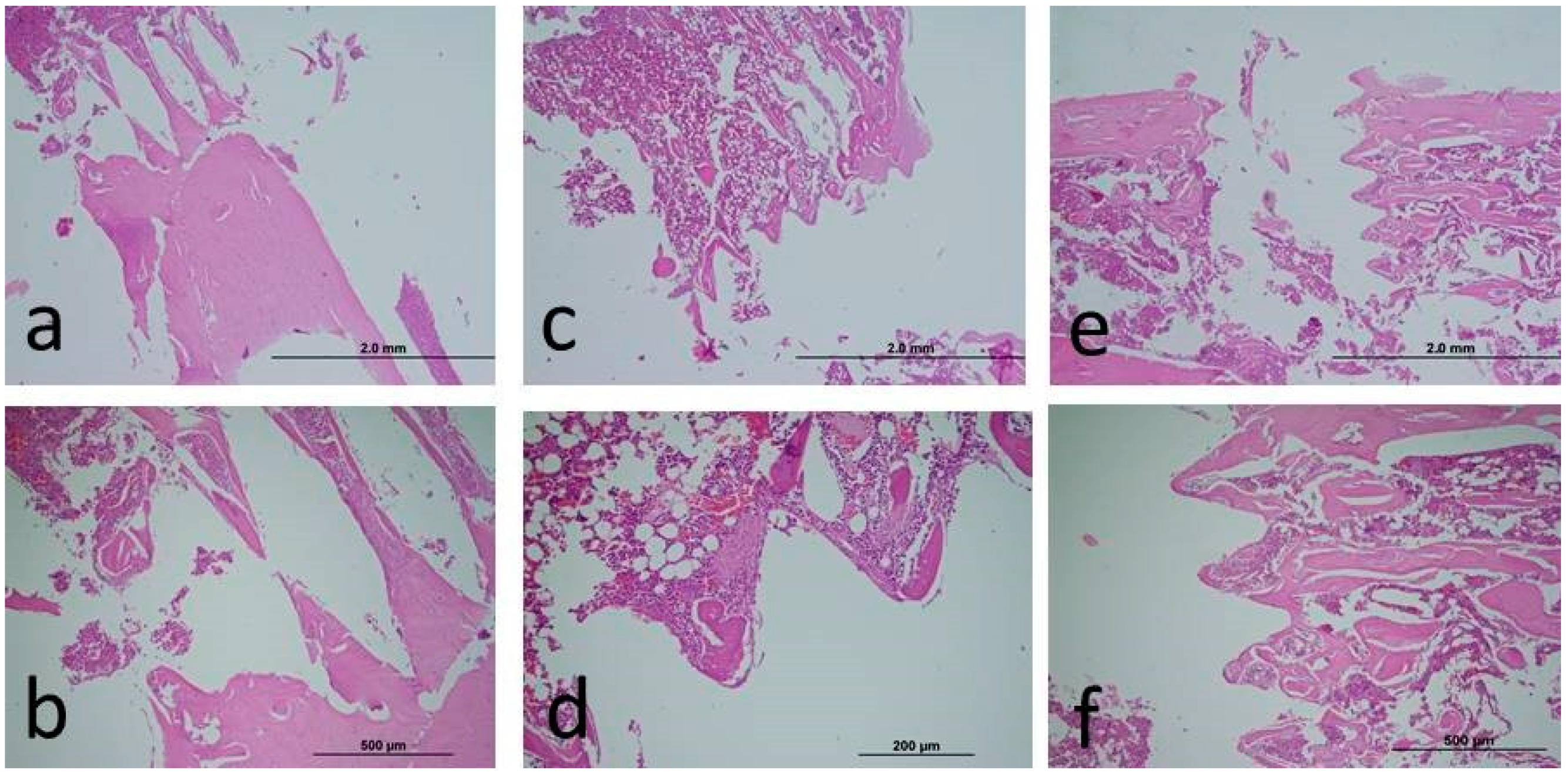 Medicina 60 01094 g001