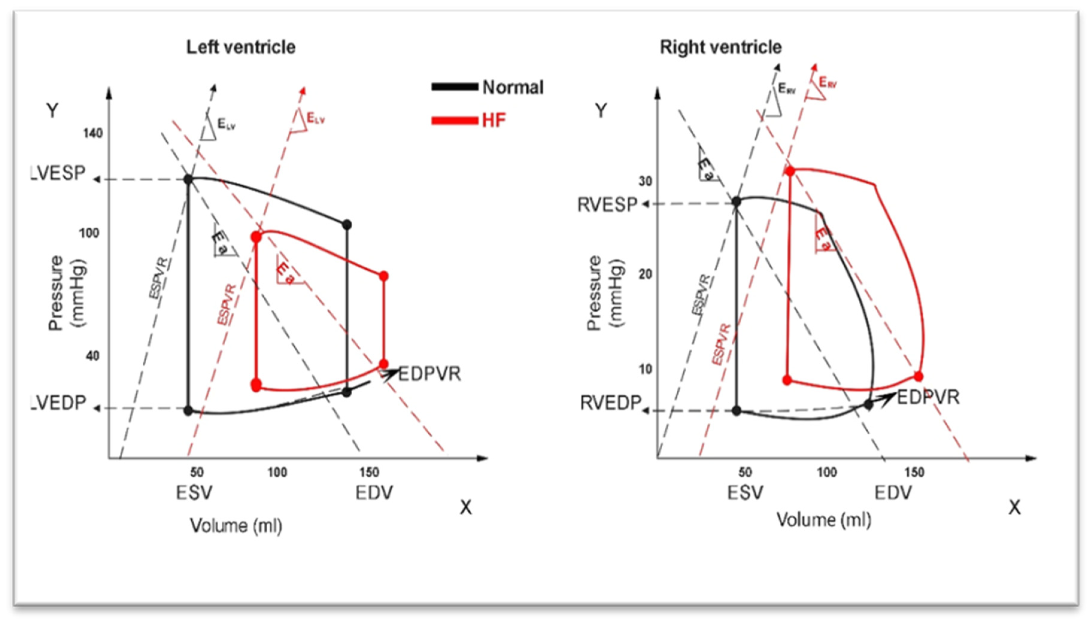 Medicina 60 01112 g001