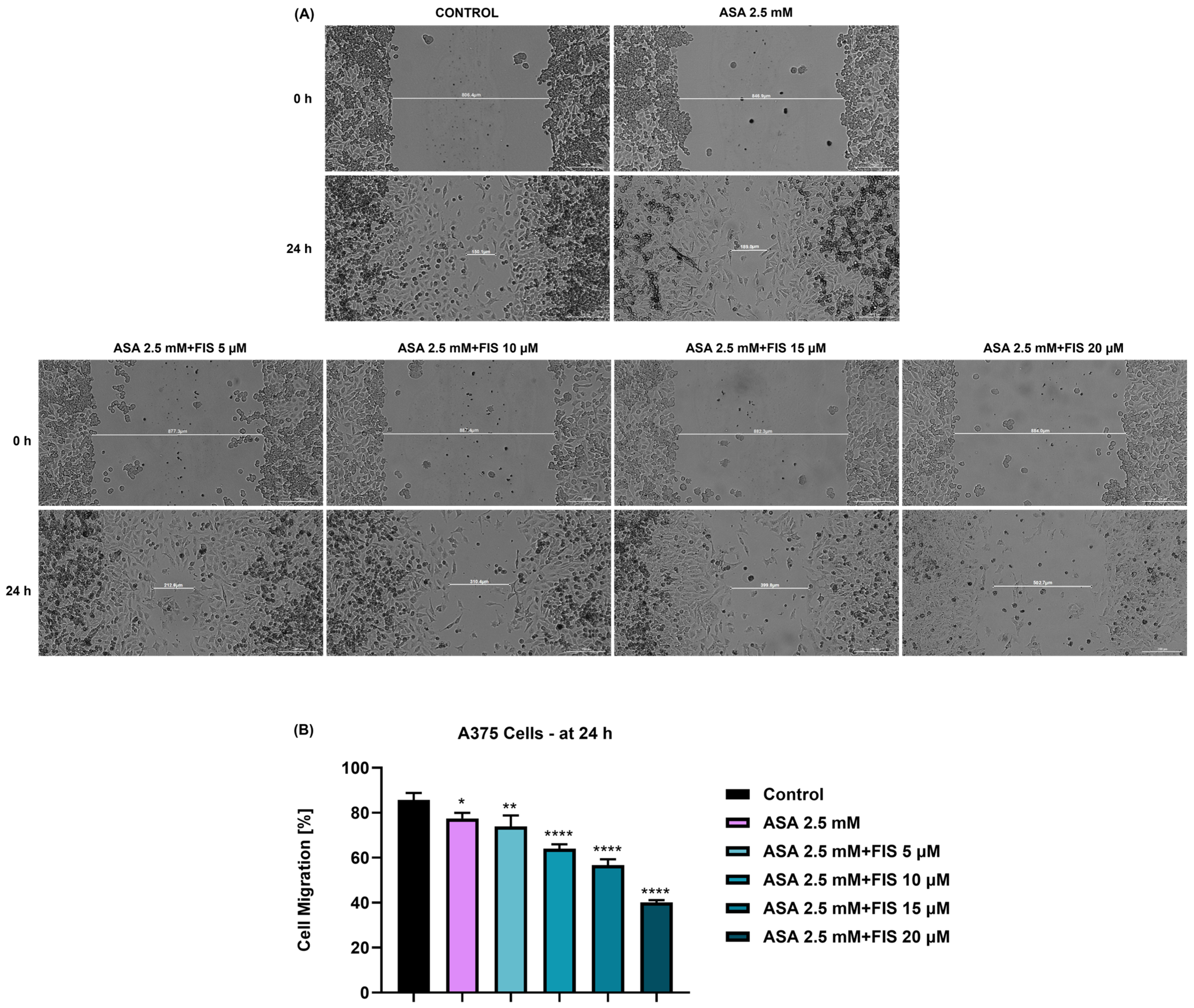 Medicina 60 01125 g008