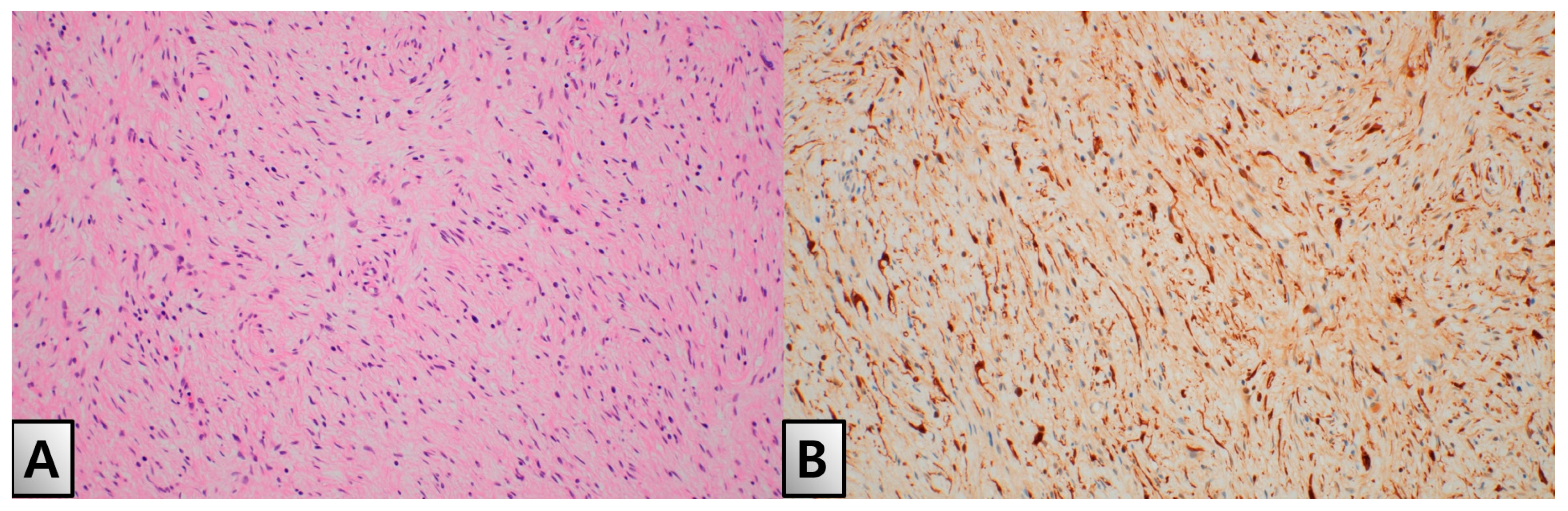 Medicina 60 01200 g003 Medicina 60 01200 g003