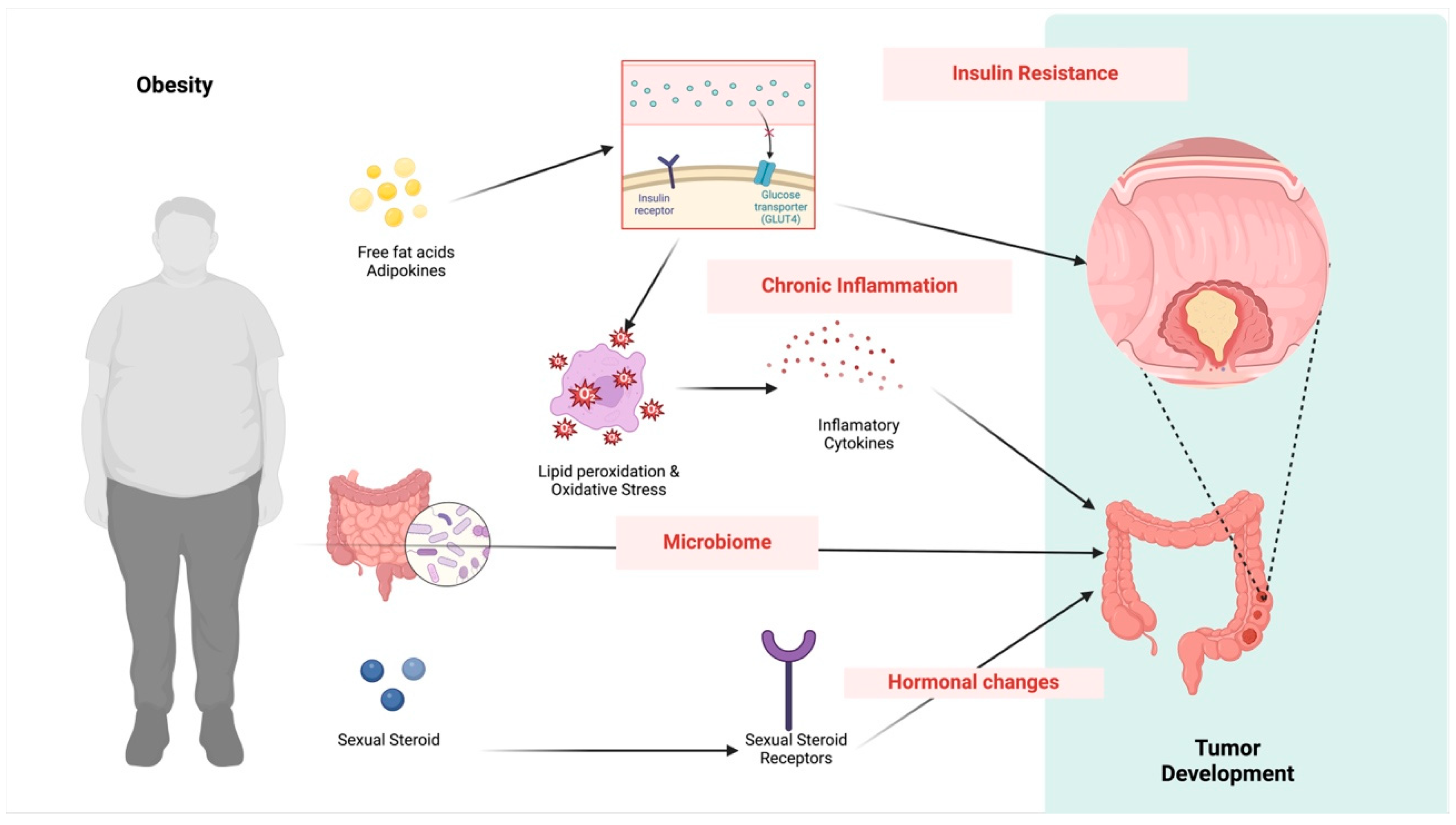 Medicina 60 01218 g001