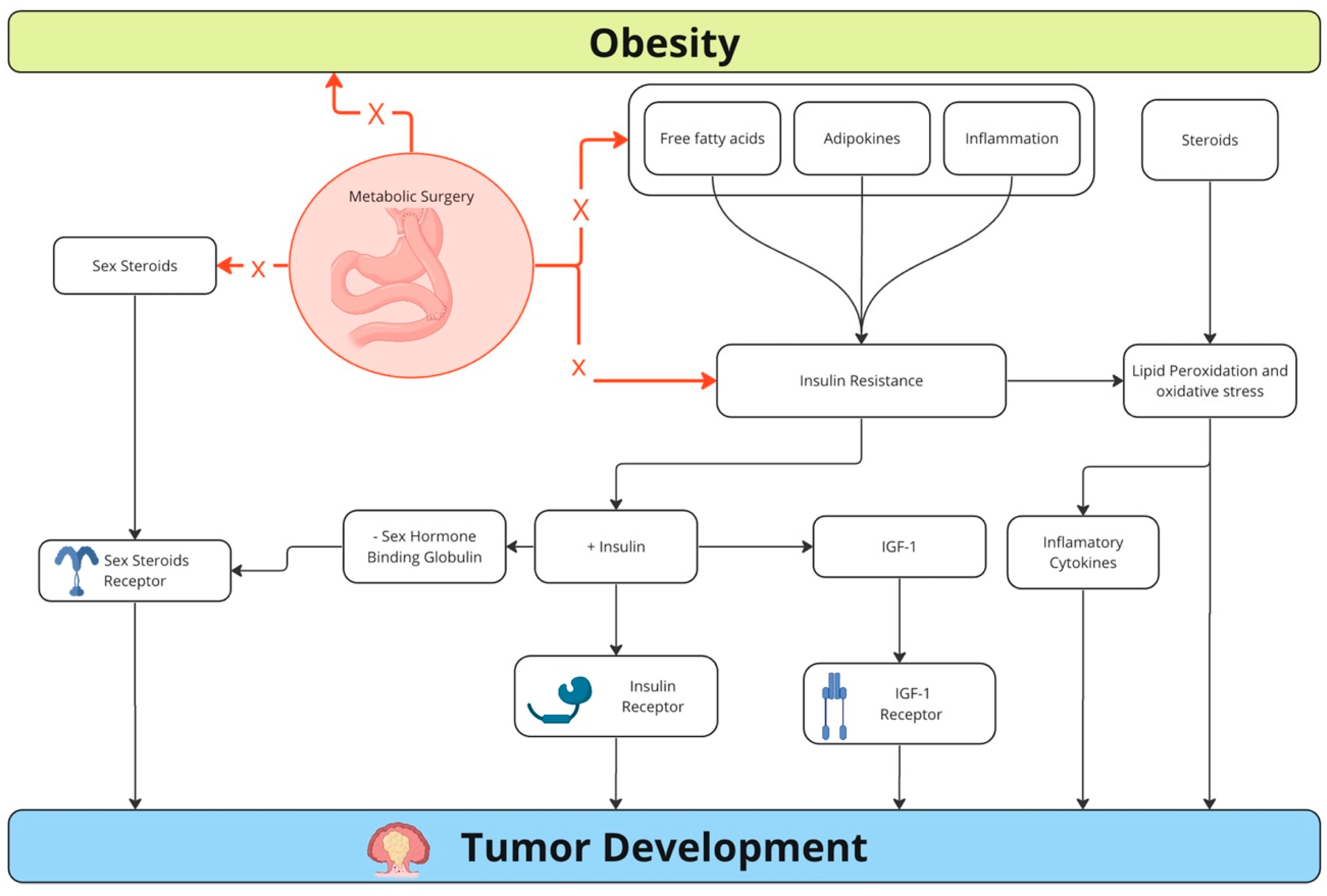 Medicina 60 01218 g002