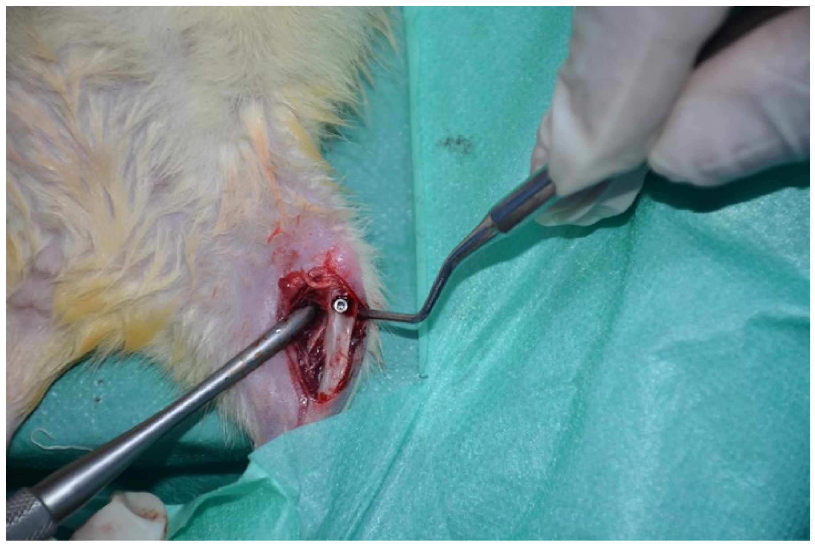 Medicina 60 01224 g001