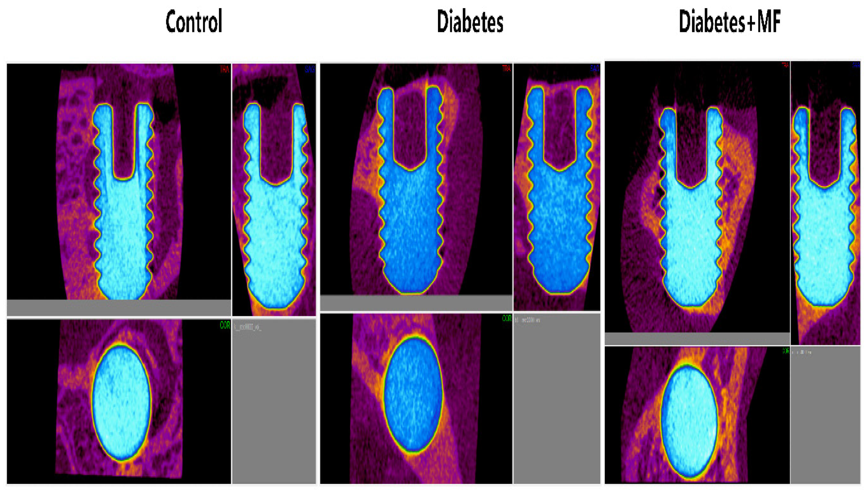 Medicina 60 01224 g004