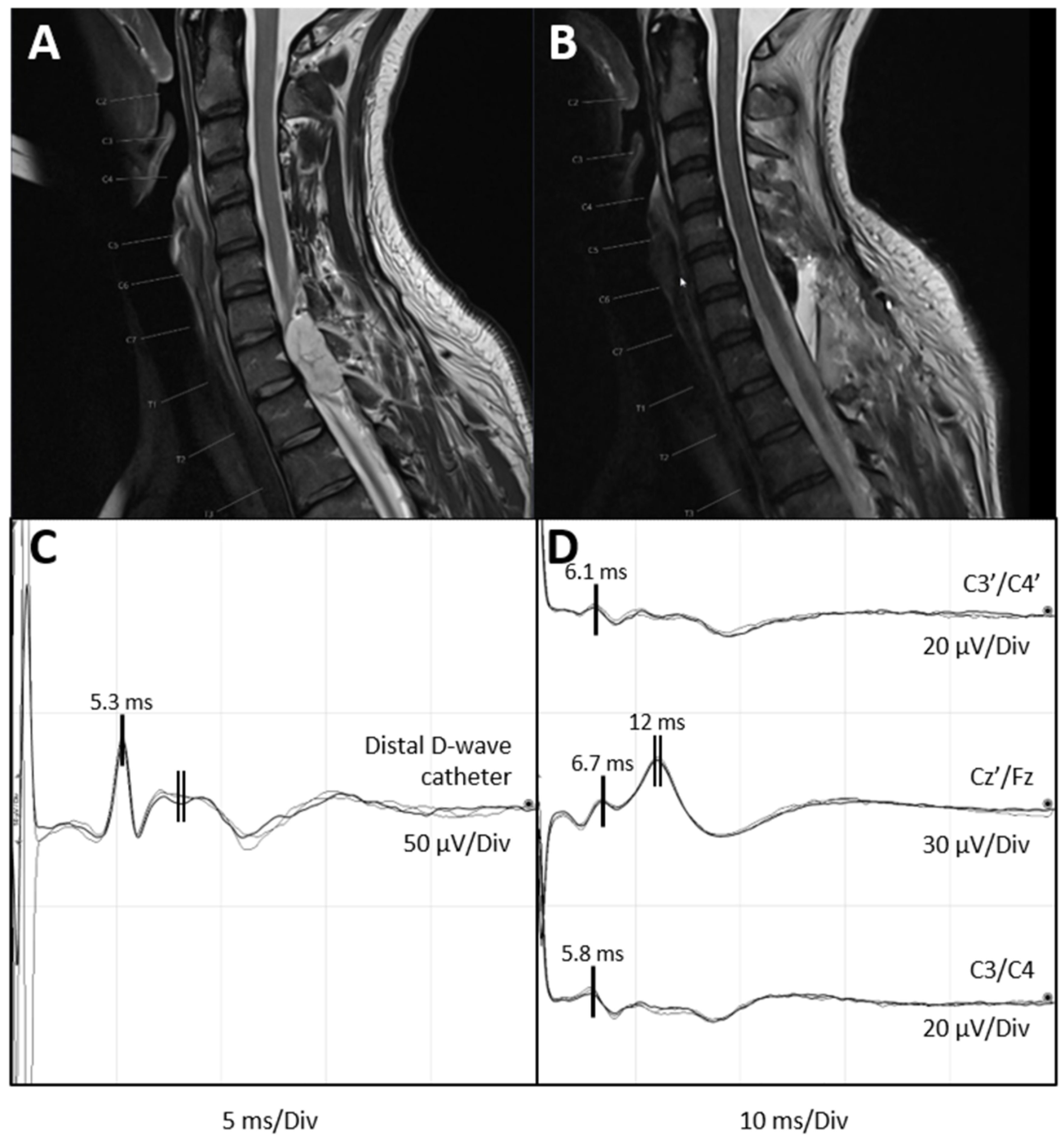 Medicina 60 01242 g002