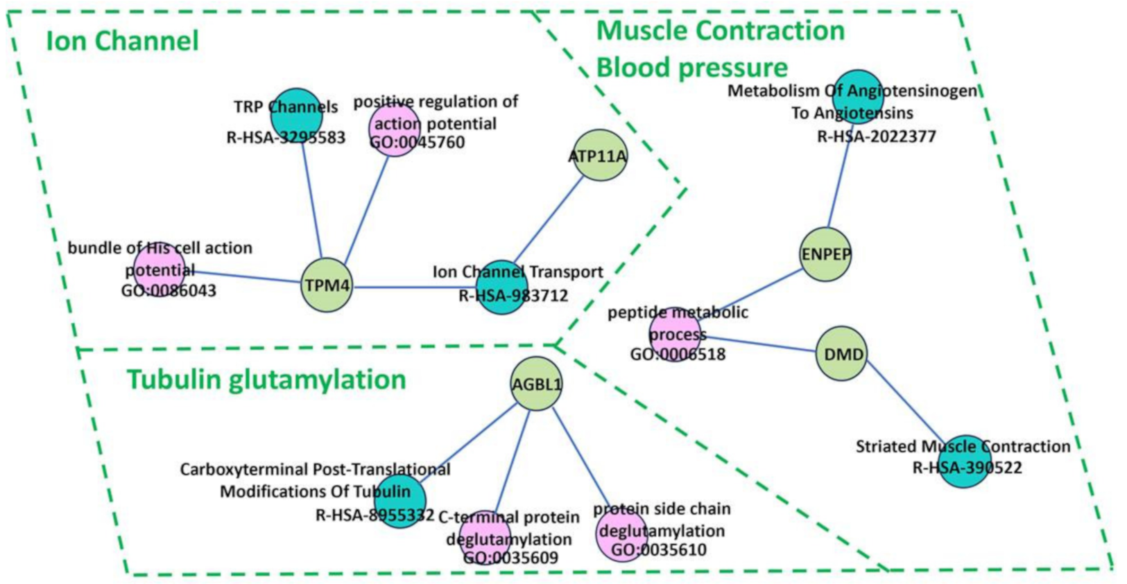 Medicina 60 01271 g006