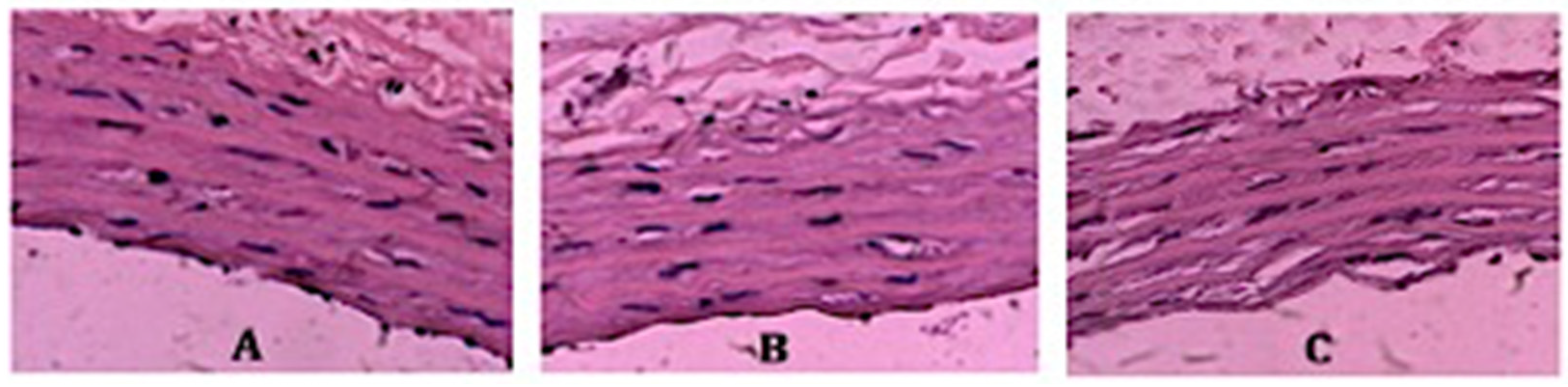 Medicina 60 01284 g001