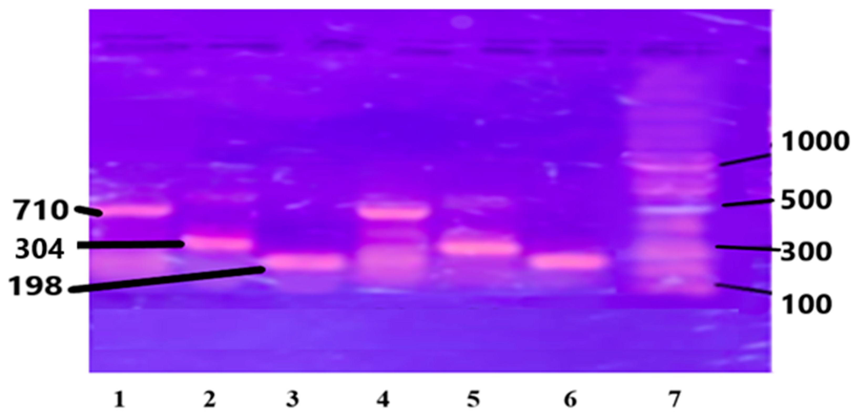 Medicina 60 01307 g002