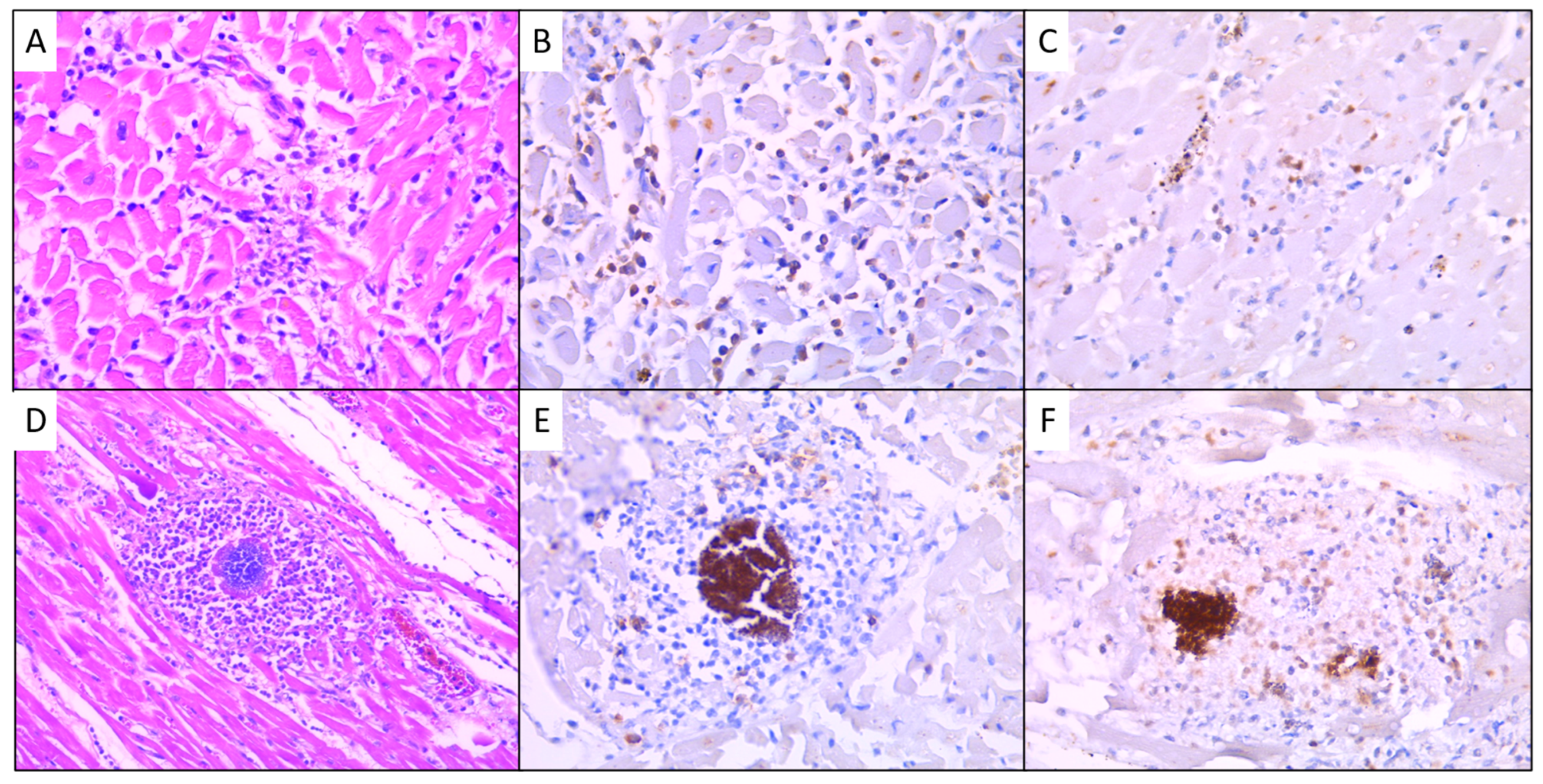 Medicina 60 01312 g005