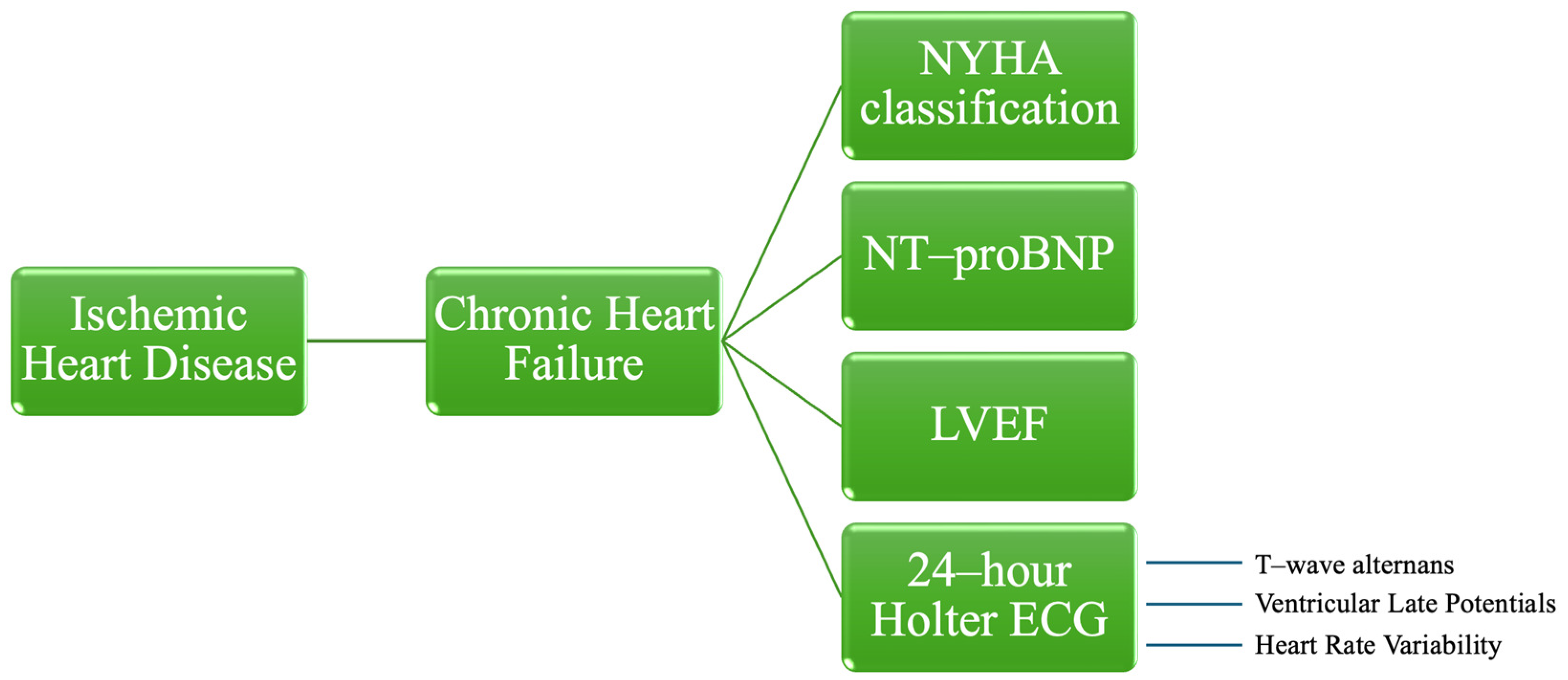 Medicina 60 01315 g001