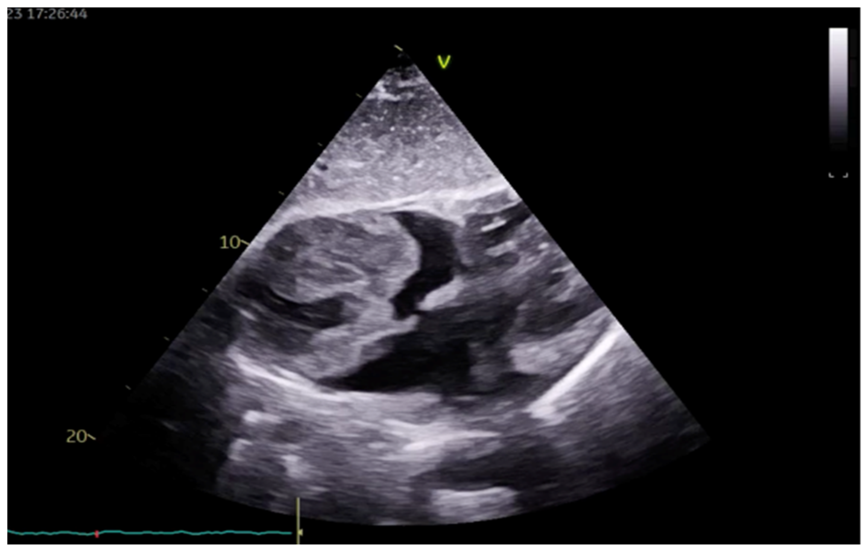 Medicina 60 01321 g001 Medicina 60 01321 g001