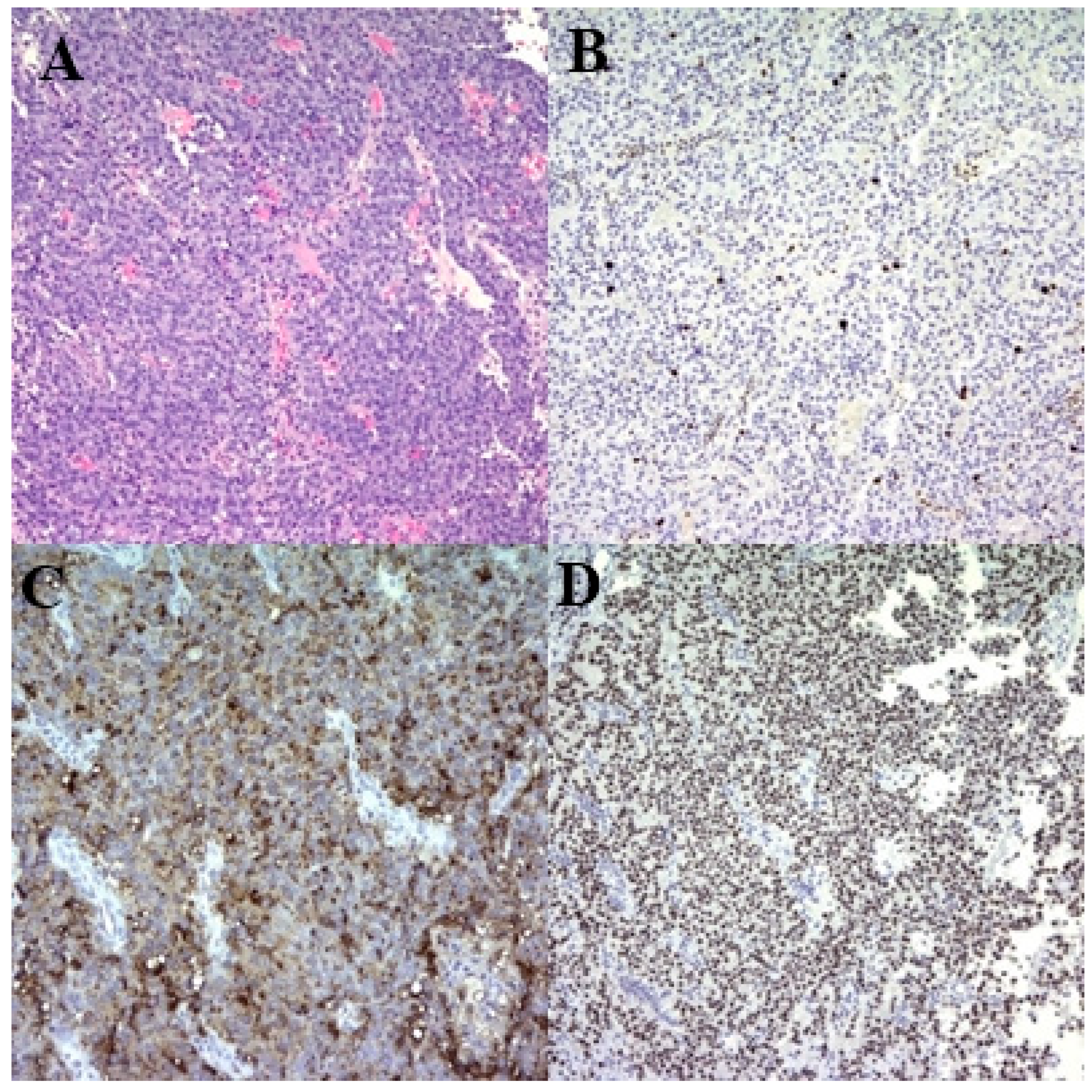 Medicina 60 01345 g003