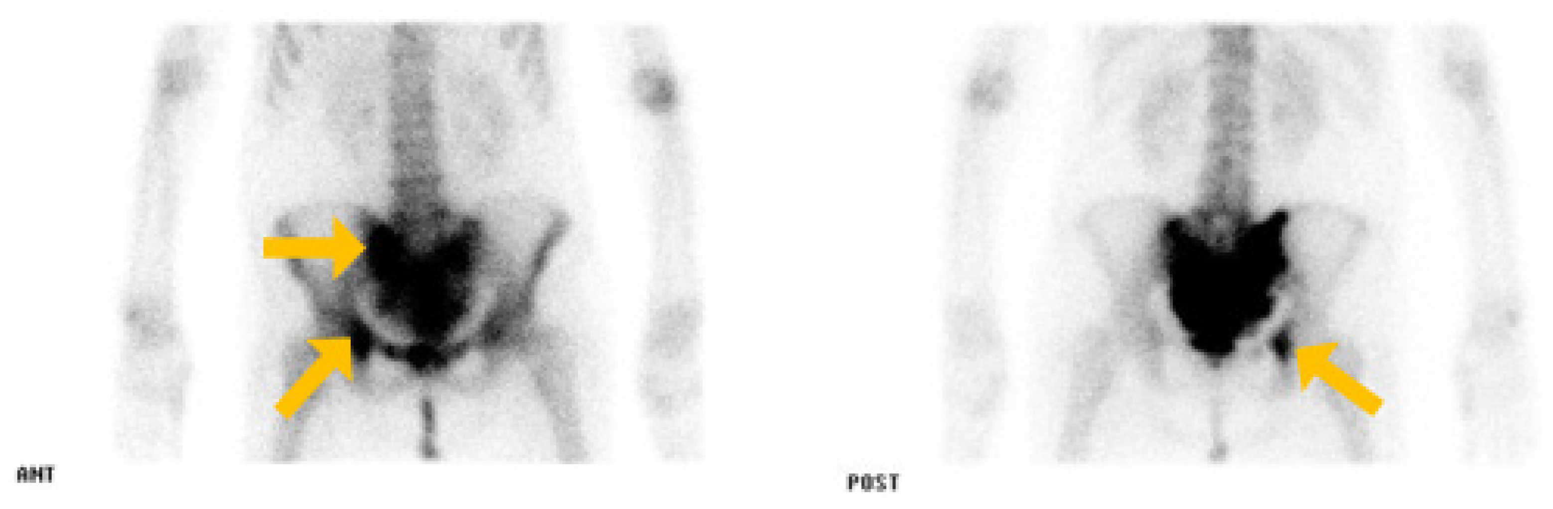 Medicina 60 01365 g002
