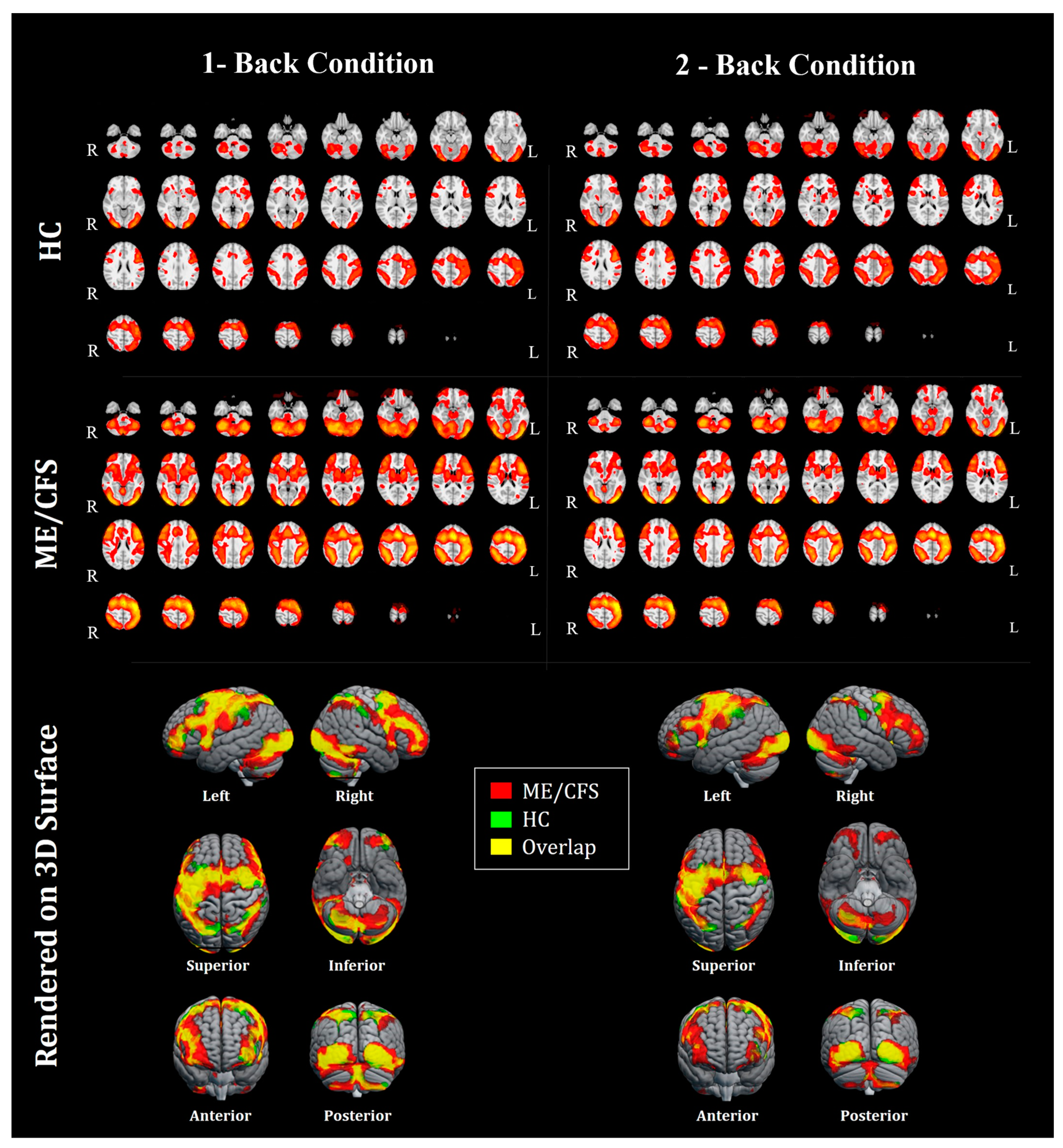 Medicina 60 01370 g003