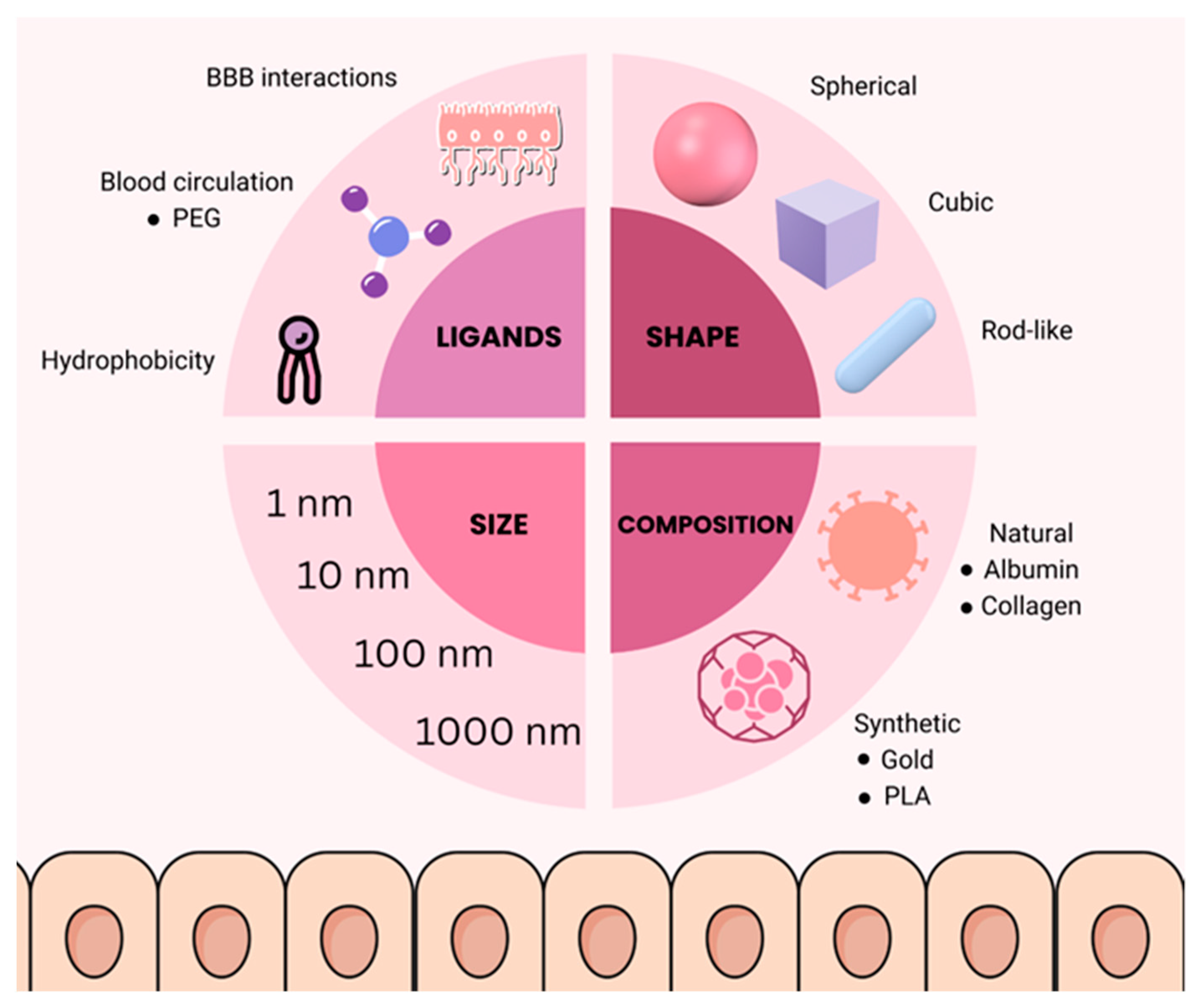 Medicina 60 01384 g001