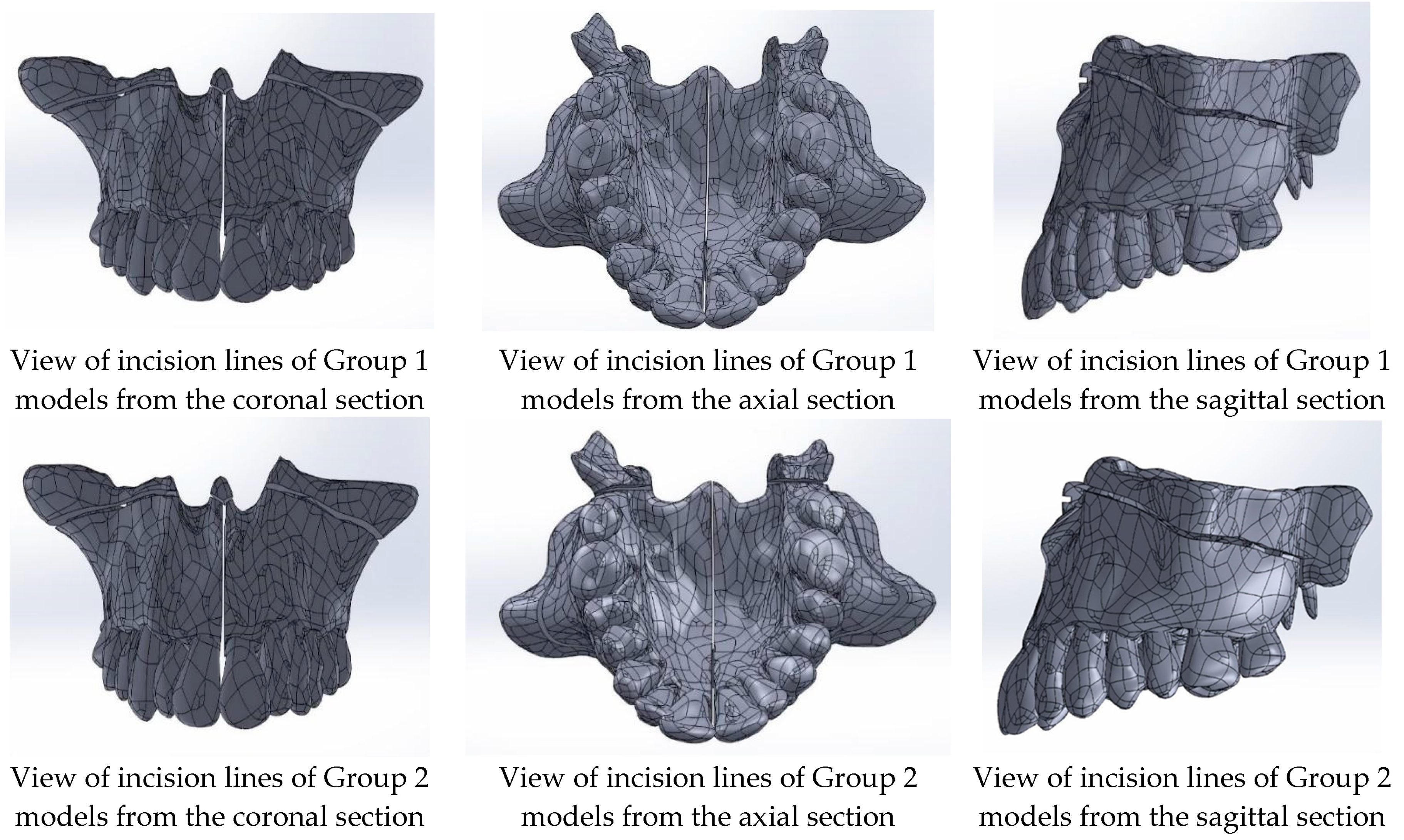 Medicina 60 01400 g002 Medicina 60 01400 g002