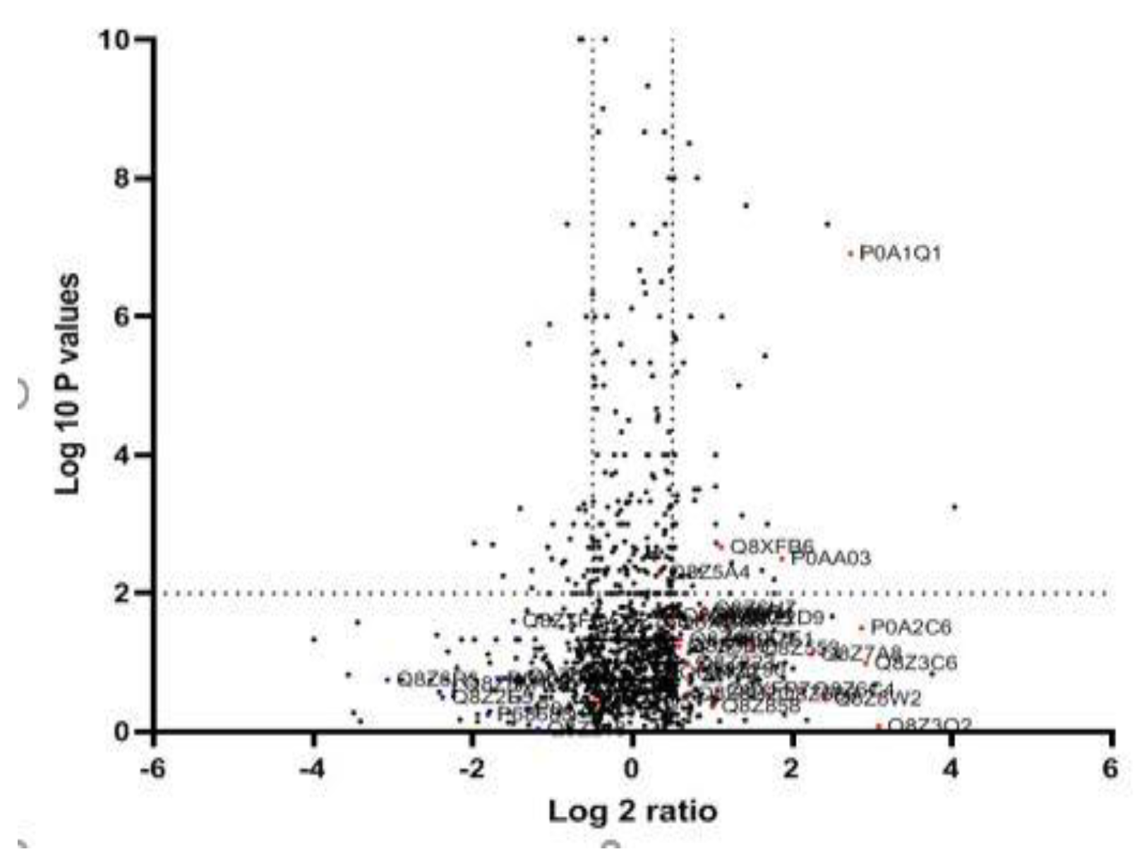 Medicina 60 01404 g002 Medicina 60 01404 g002
