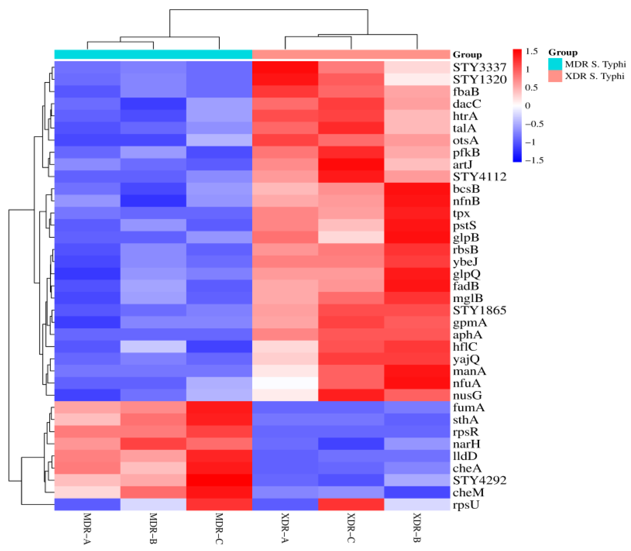 Medicina 60 01404 g003 Medicina 60 01404 g003