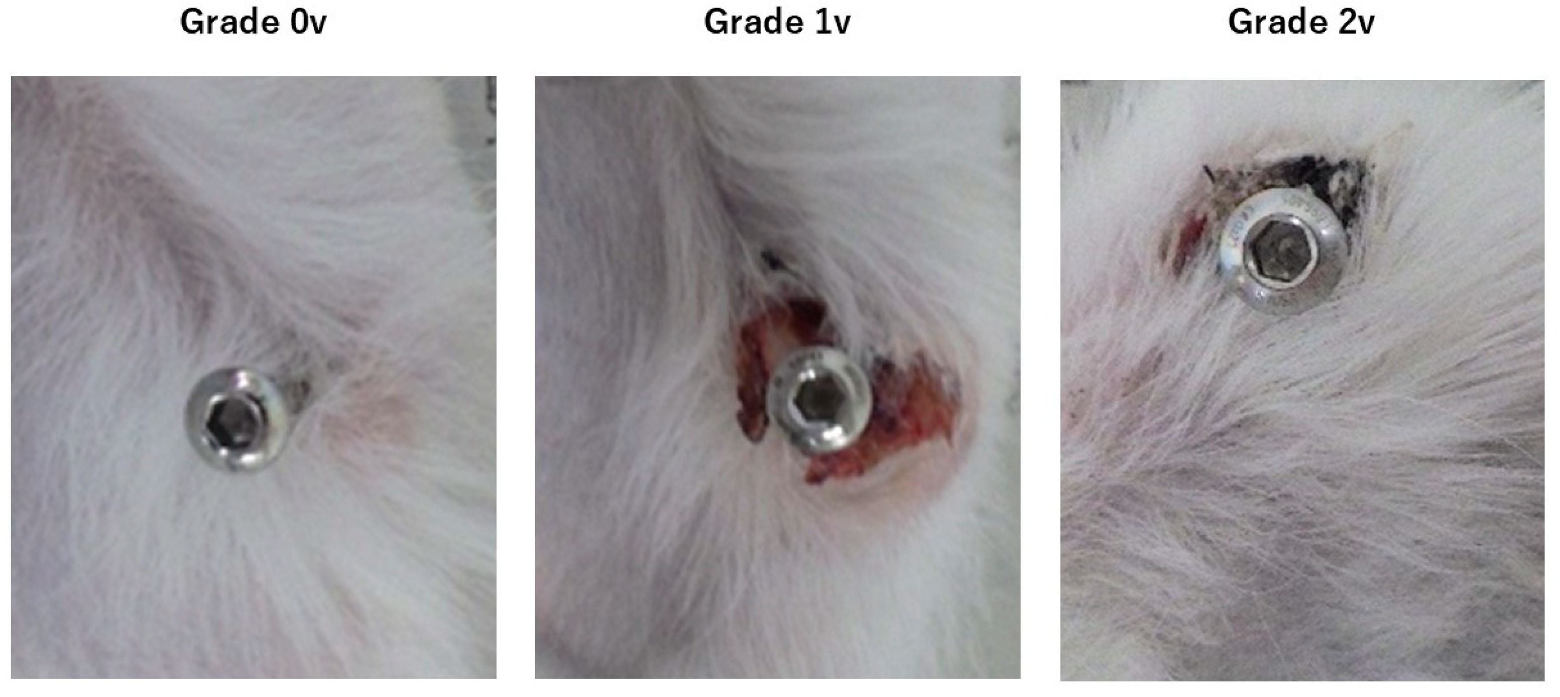 Medicina 60 01419 g001