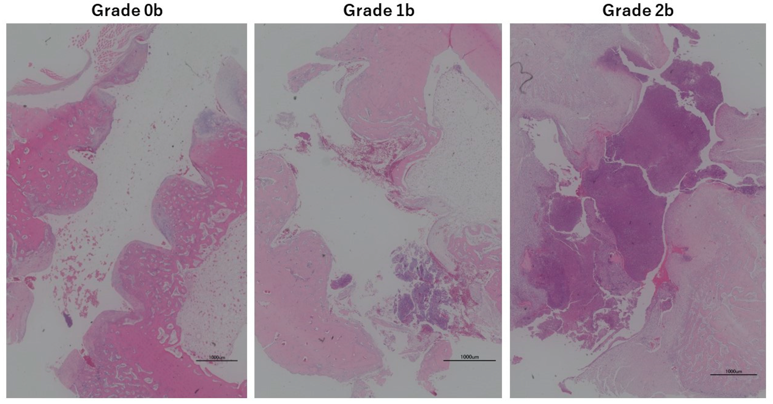 Medicina 60 01419 g003
