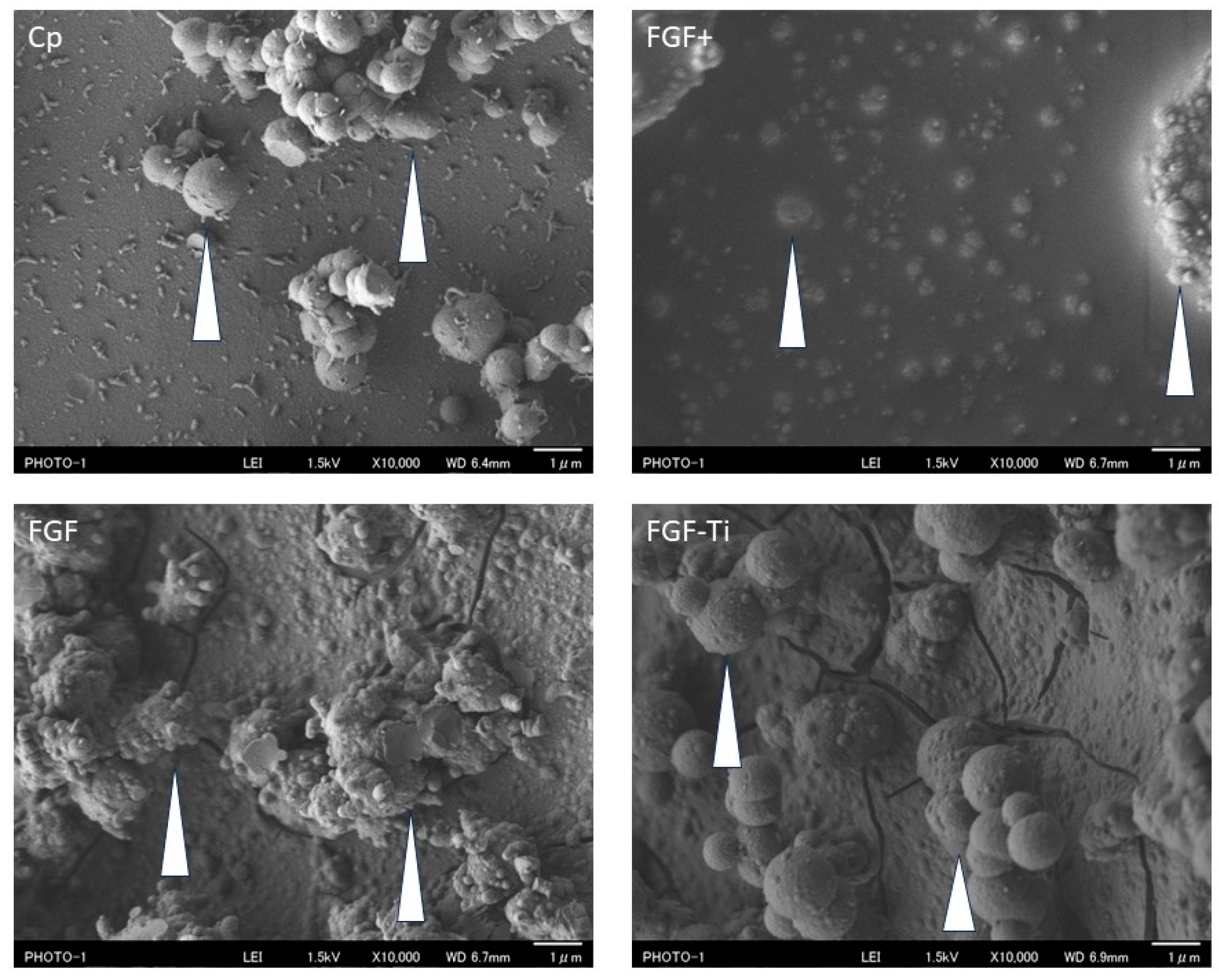 Medicina 60 01419 g004