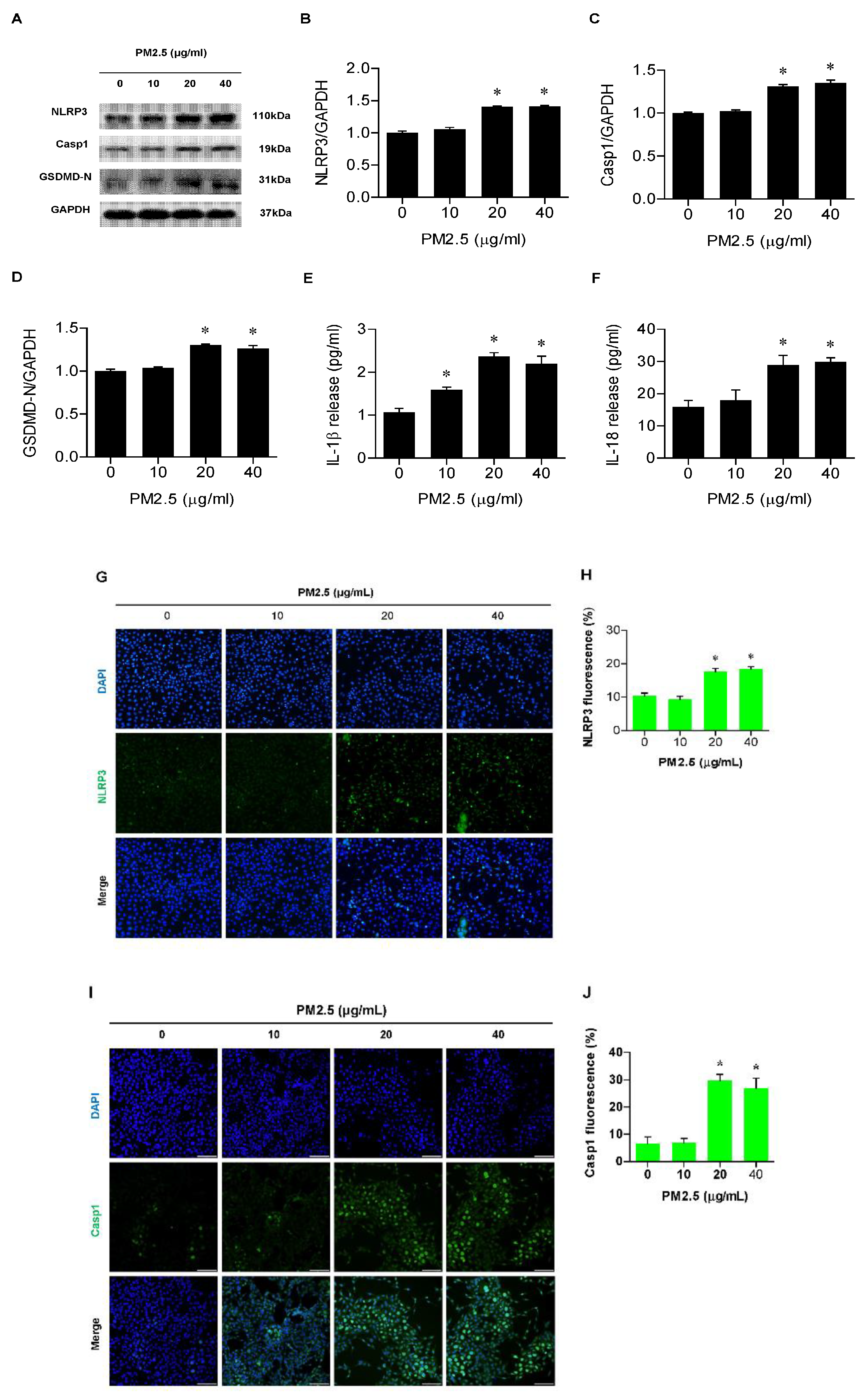 Medicina 60 01434 g002
