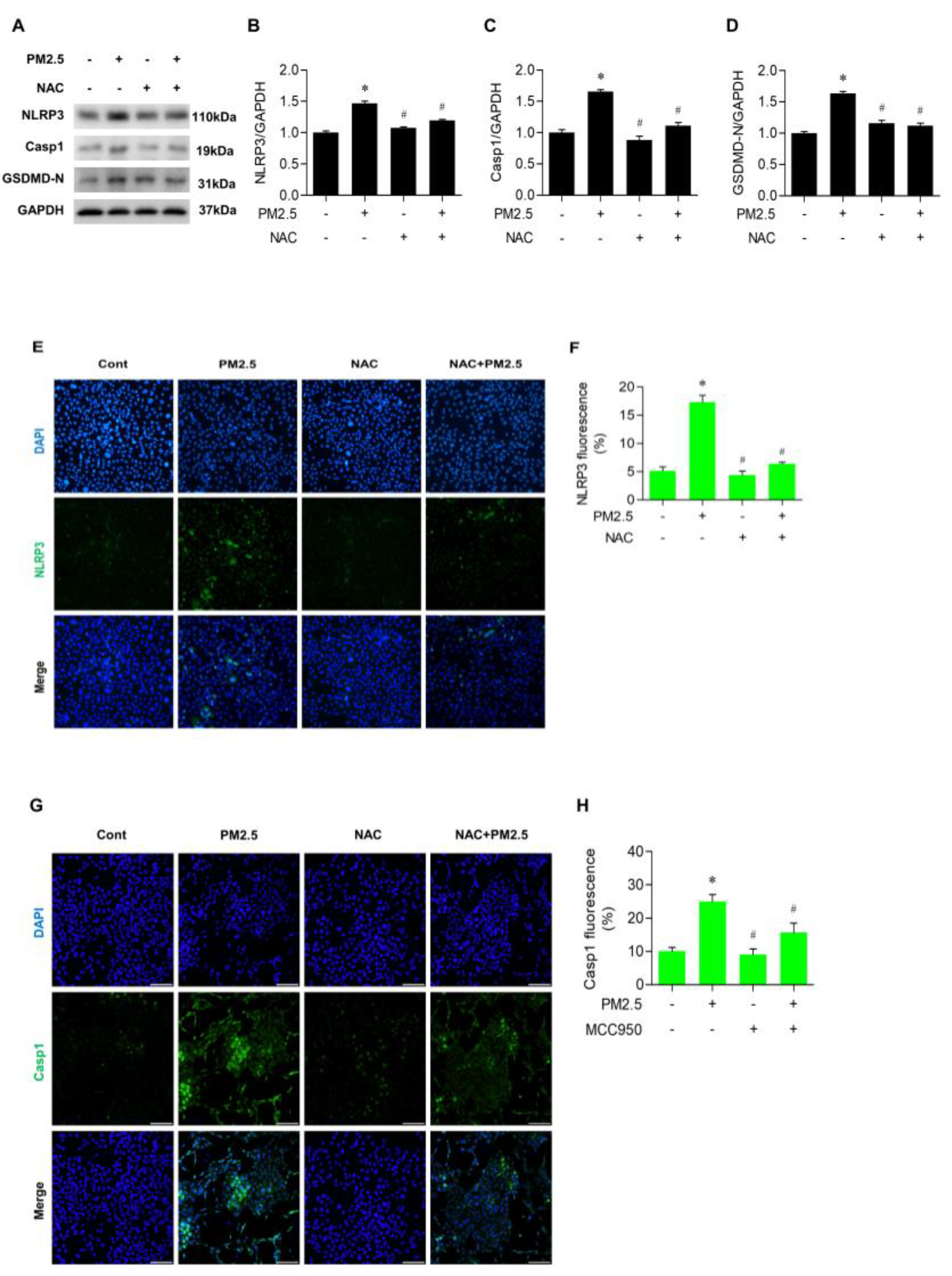 Medicina 60 01434 g005