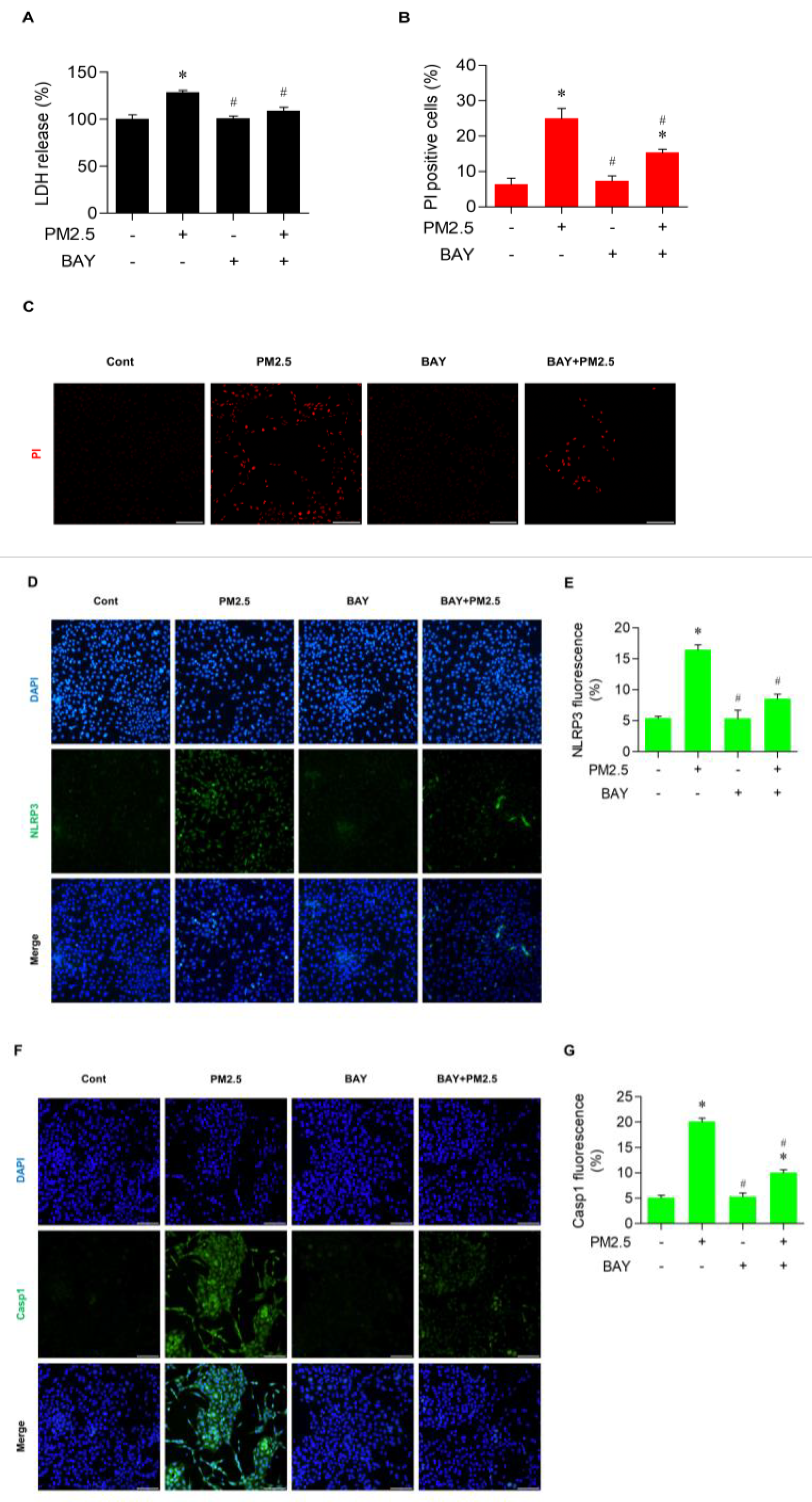 Medicina 60 01434 g006