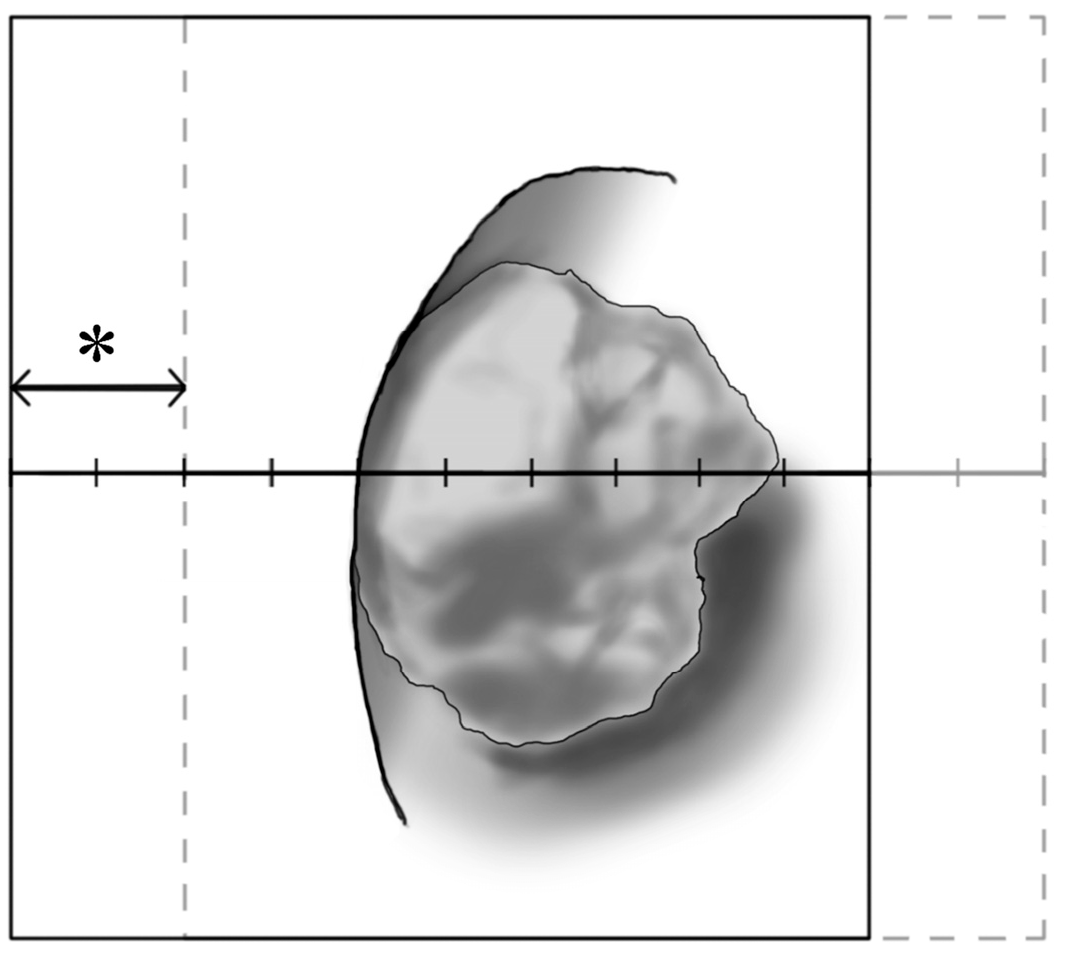 Medicina 60 01435 g001 Medicina 60 01435 g001