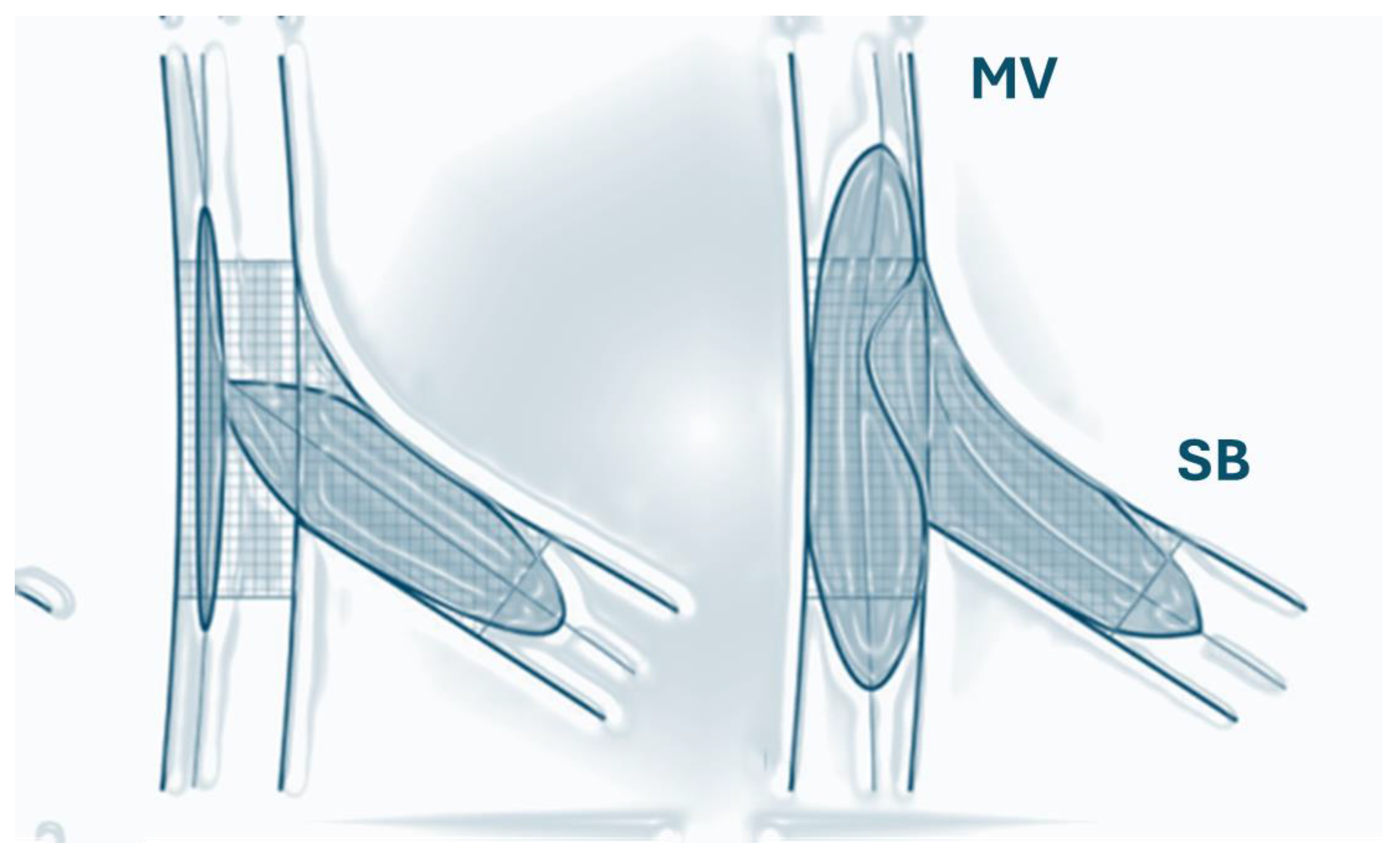 Medicina 60 01439 g002