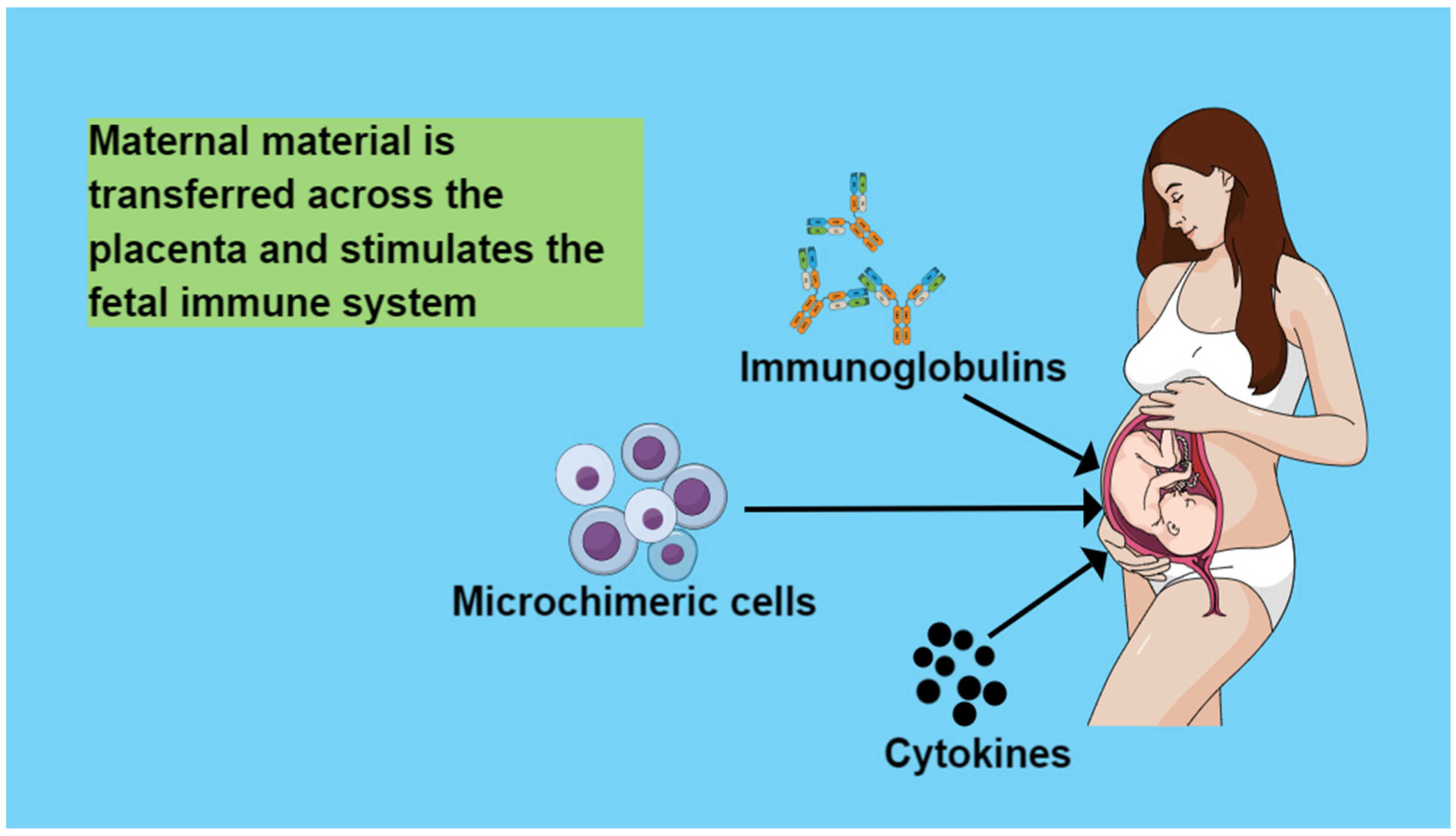 Medicina 60 01457 g001