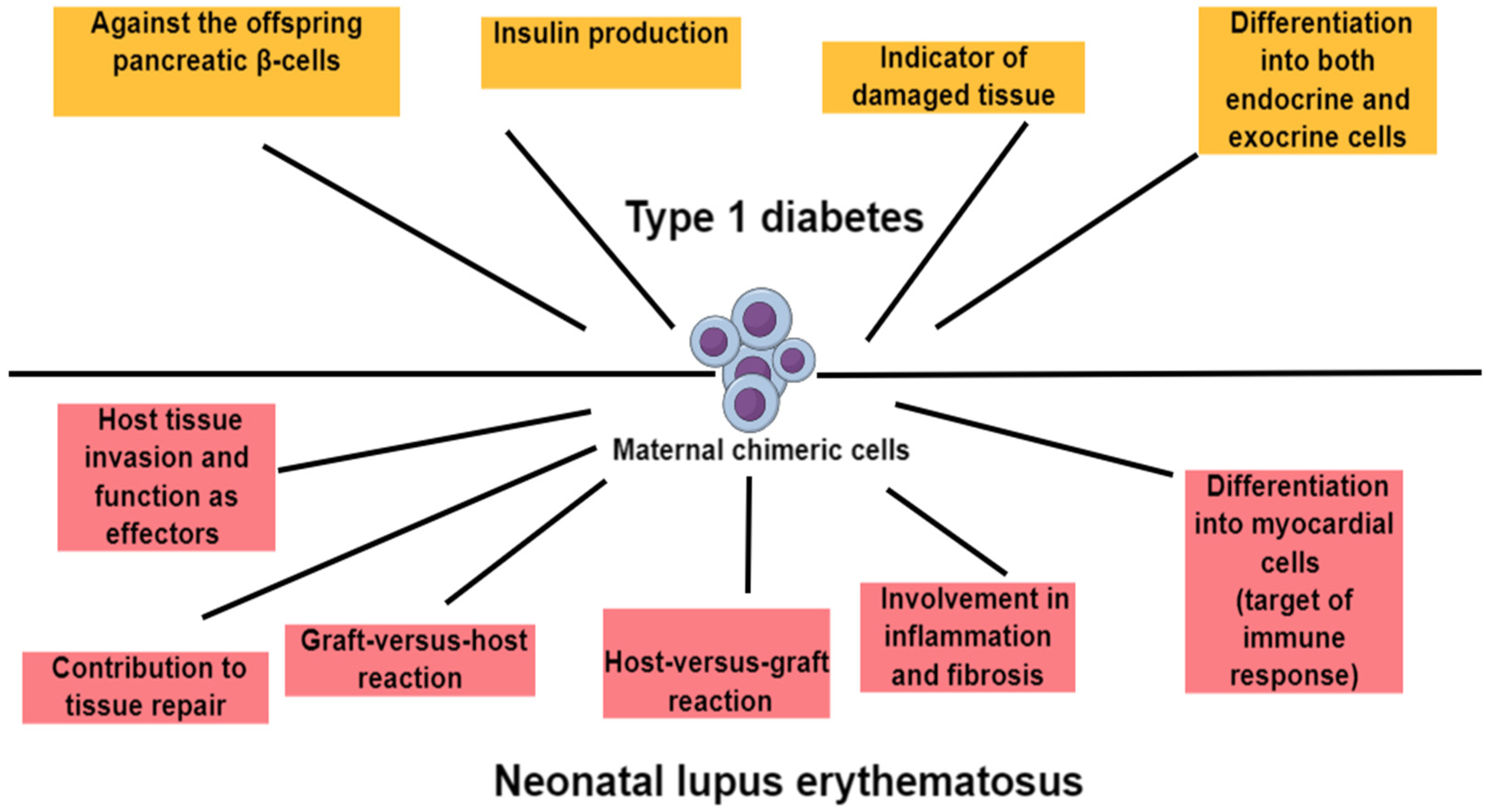 Medicina 60 01457 g002