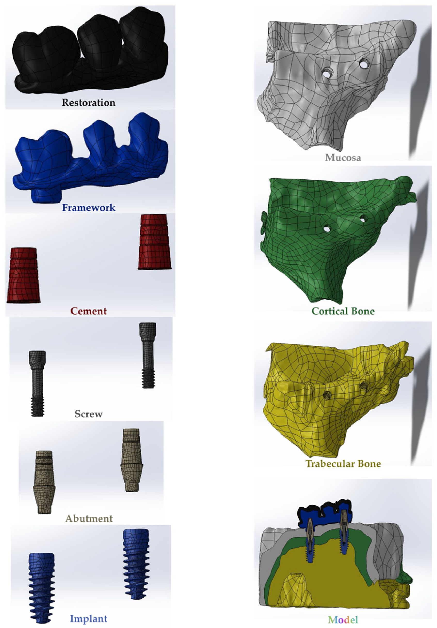 Medicina 60 01463 g001