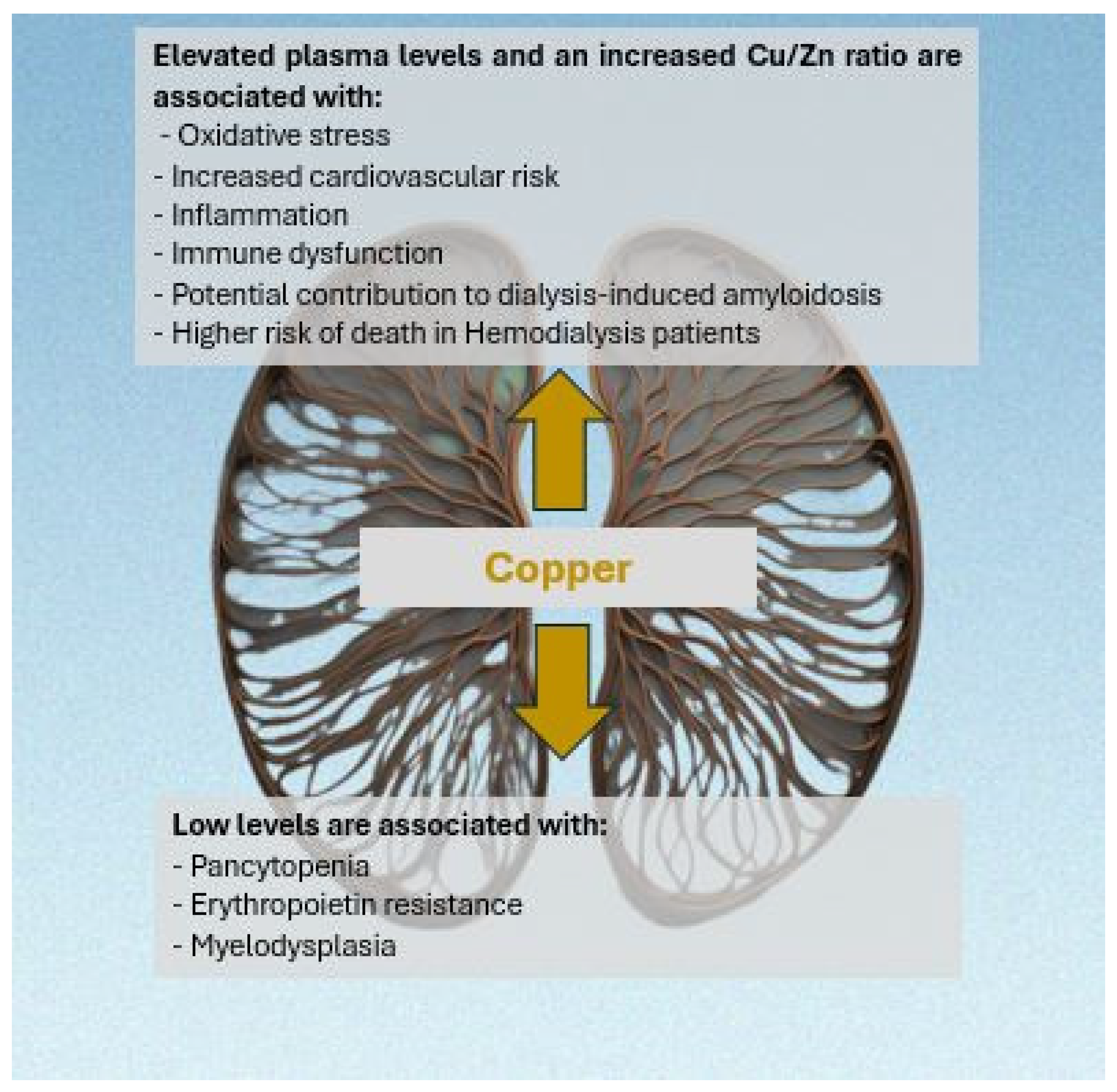 Medicina 60 01484 g001