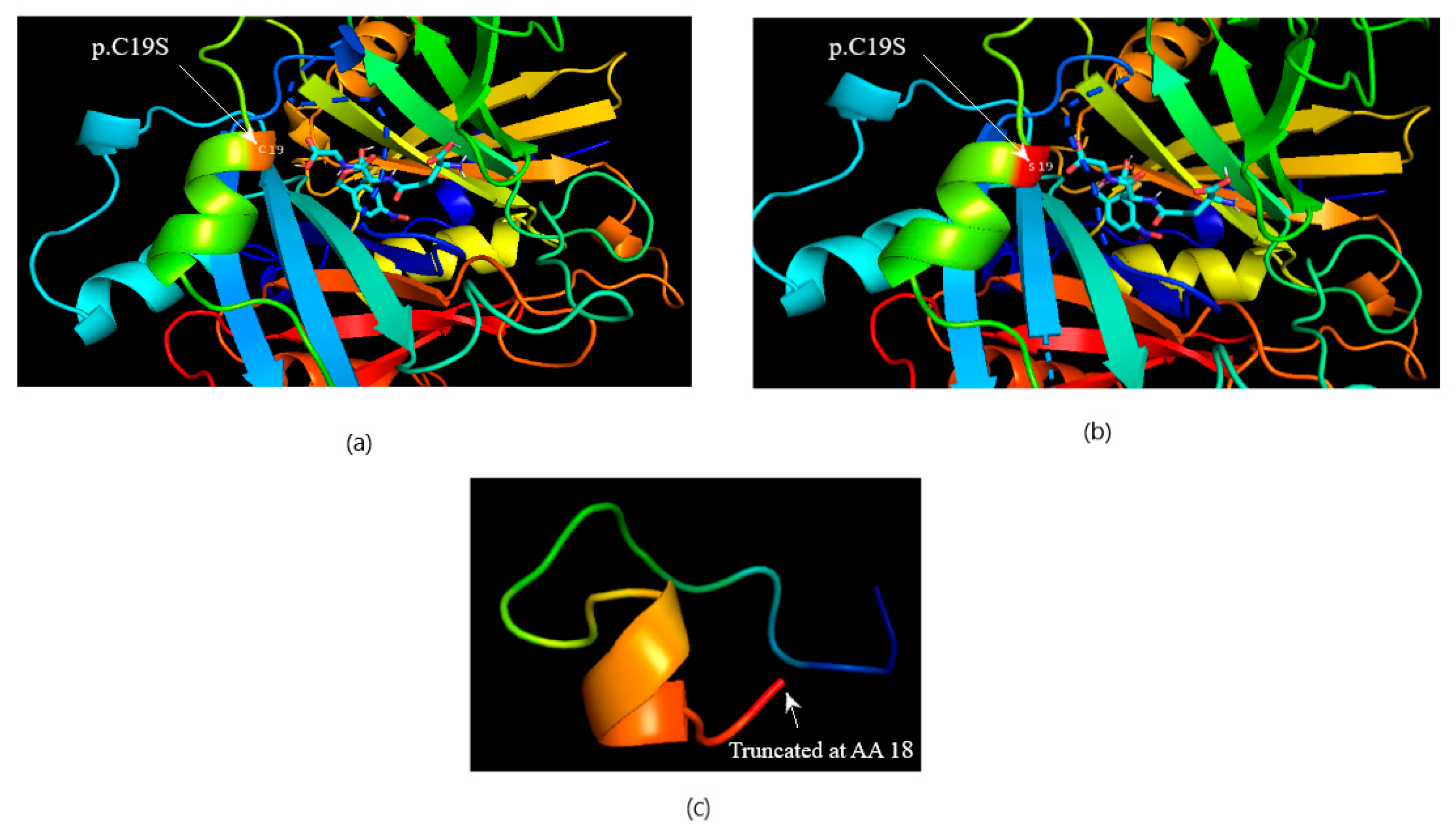 Medicina 60 01540 g004