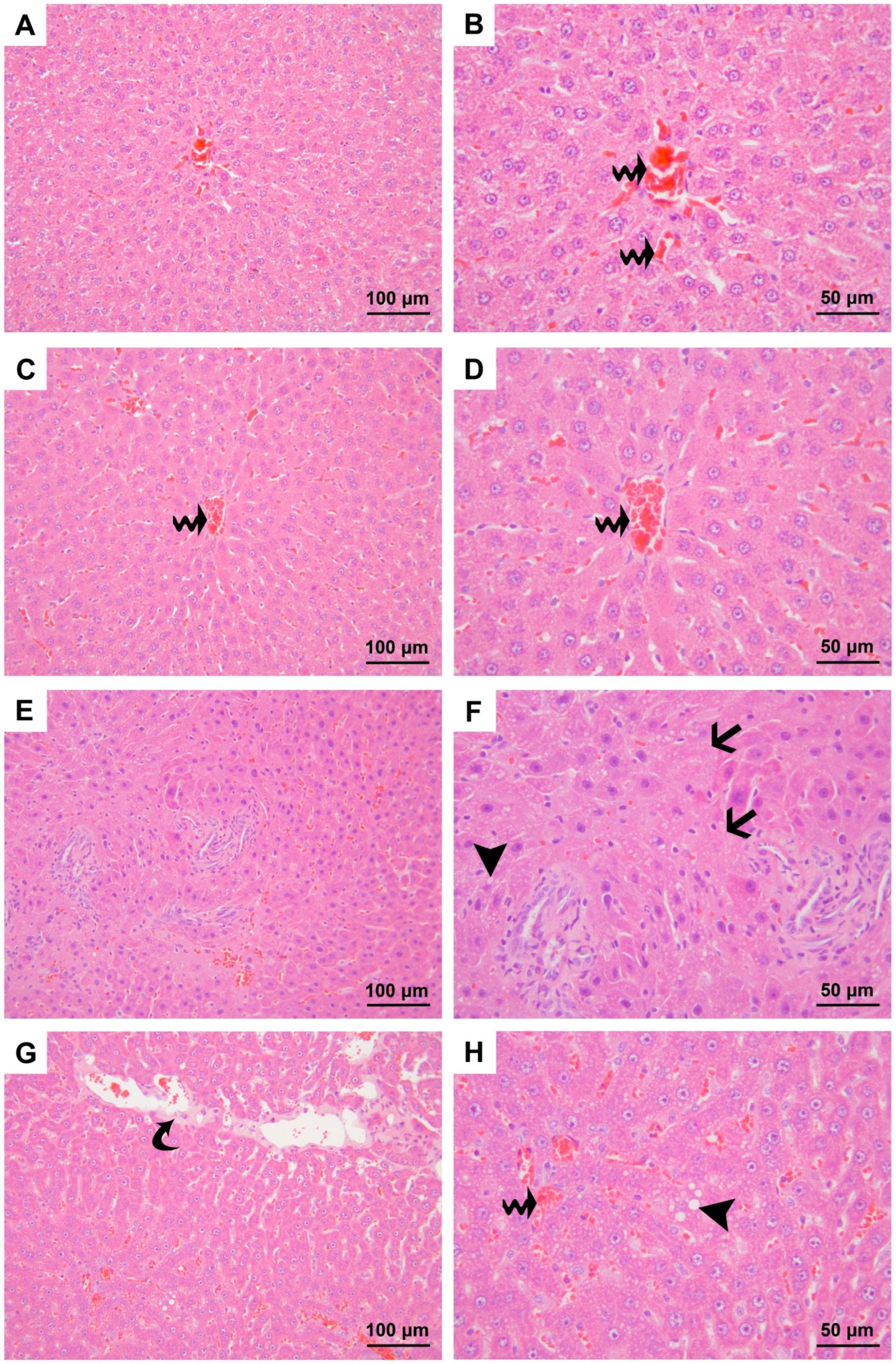 Medicina 60 01552 g001 Medicina 60 01552 g001