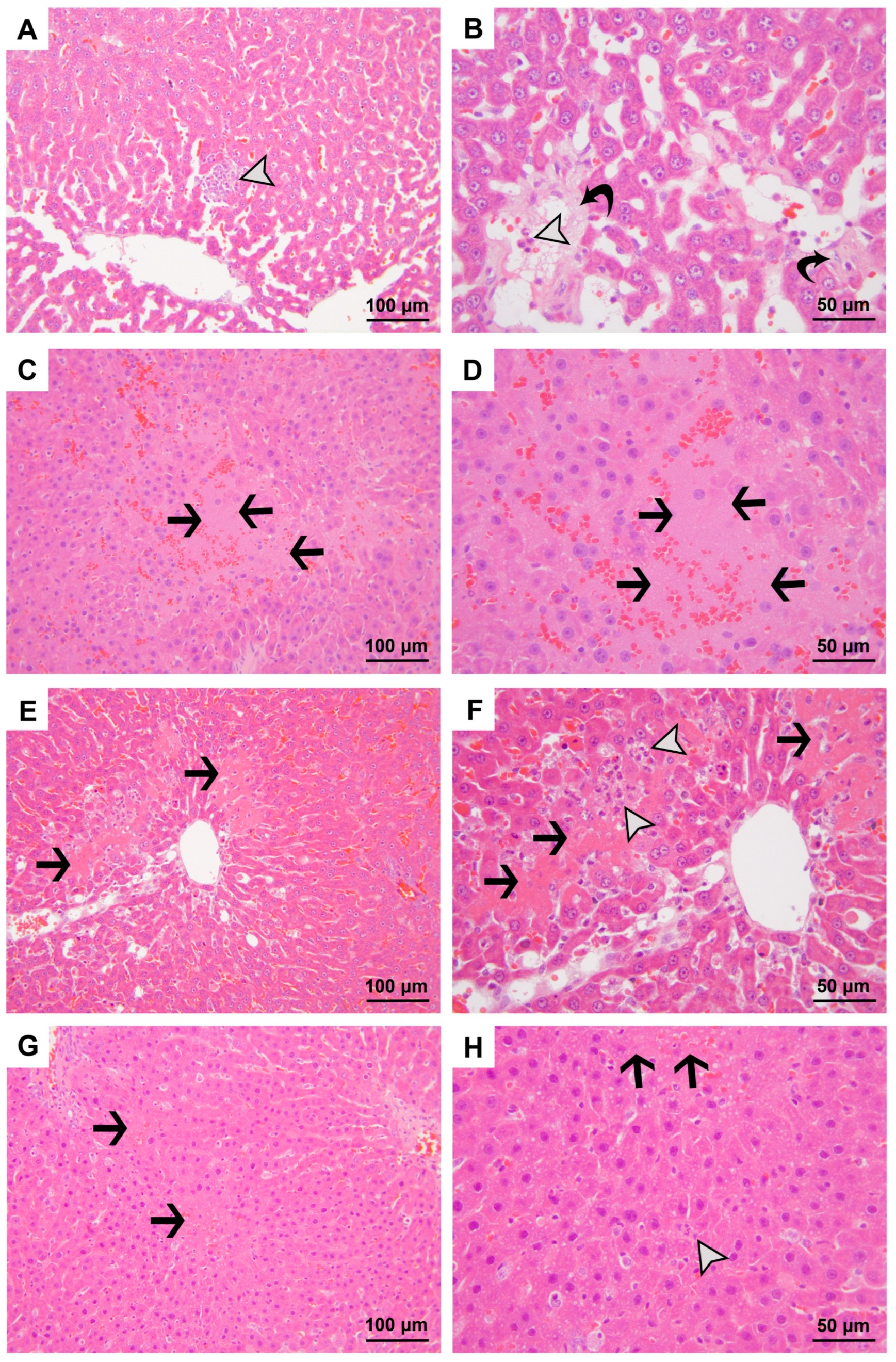 Medicina 60 01552 g002 Medicina 60 01552 g002