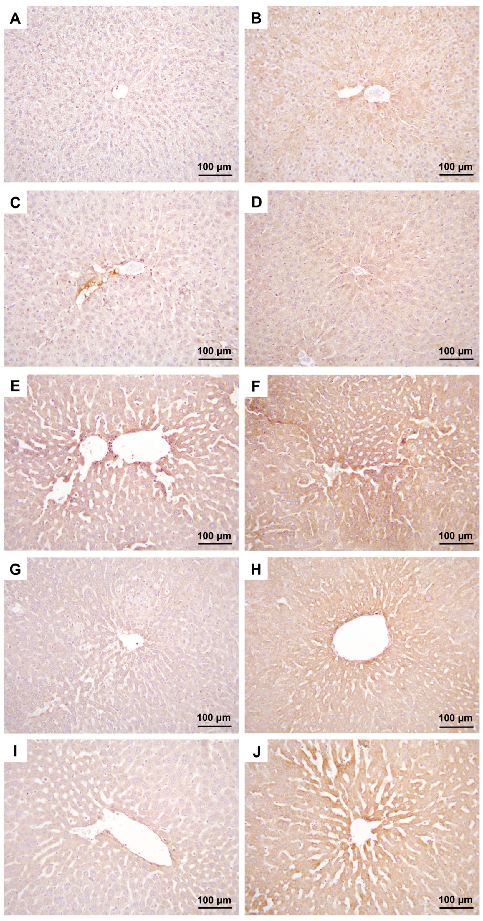 Medicina 60 01552 g003 Medicina 60 01552 g003