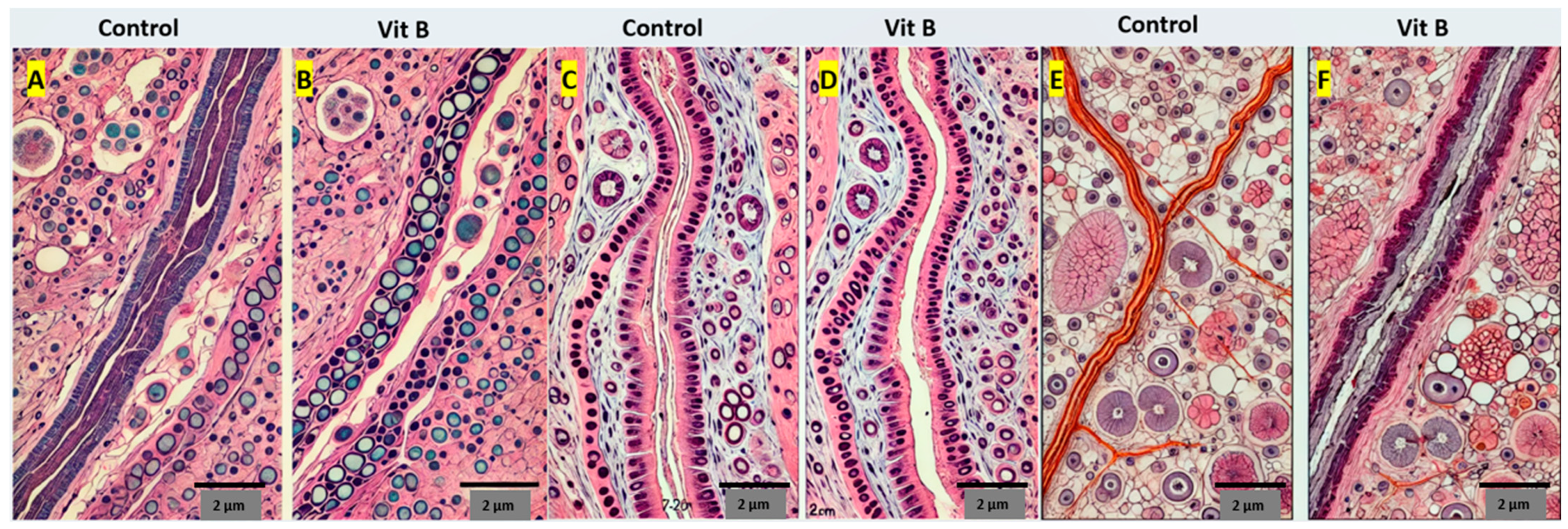 Medicina 60 01556 g003