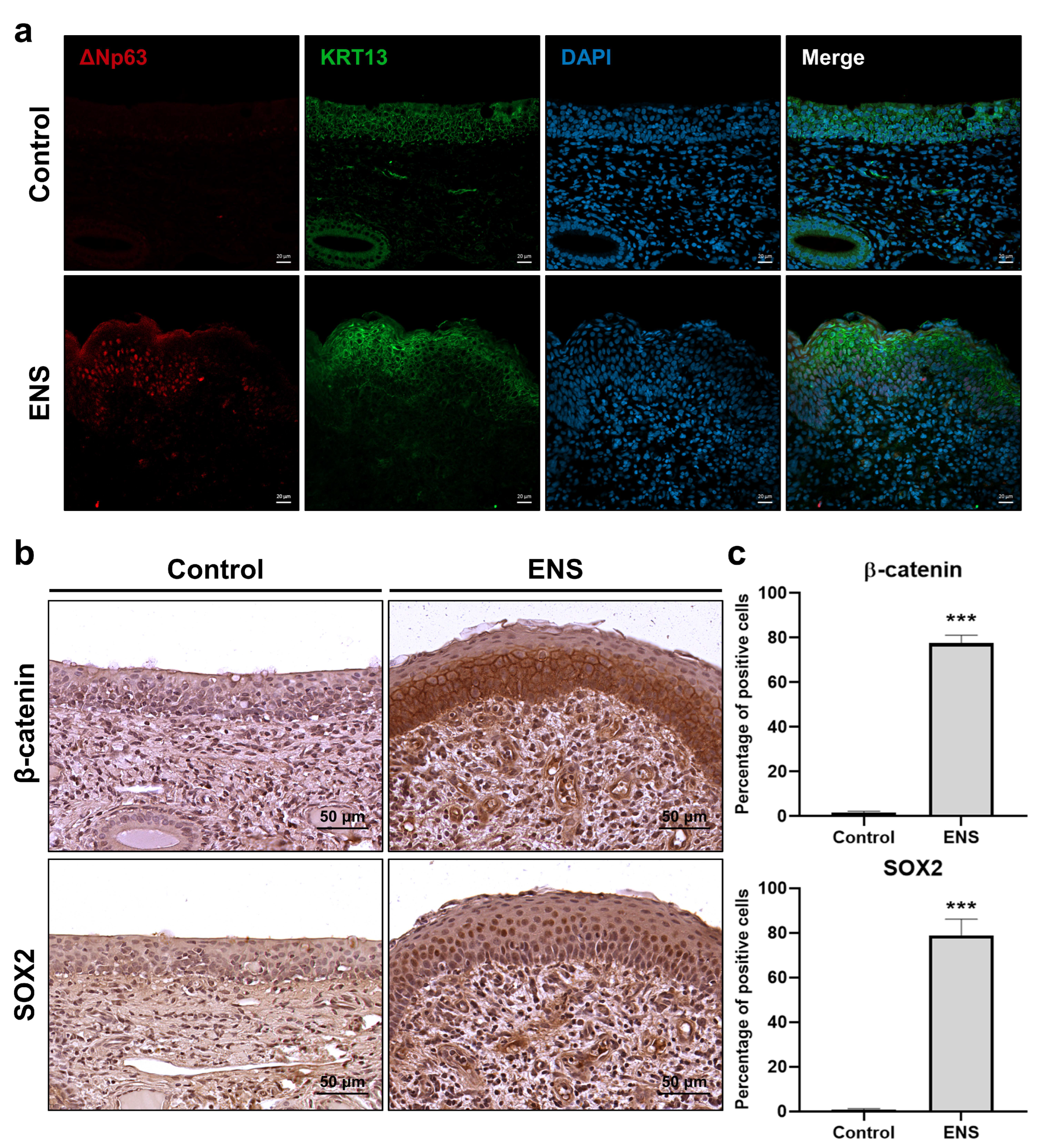 Medicina 60 01559 g004