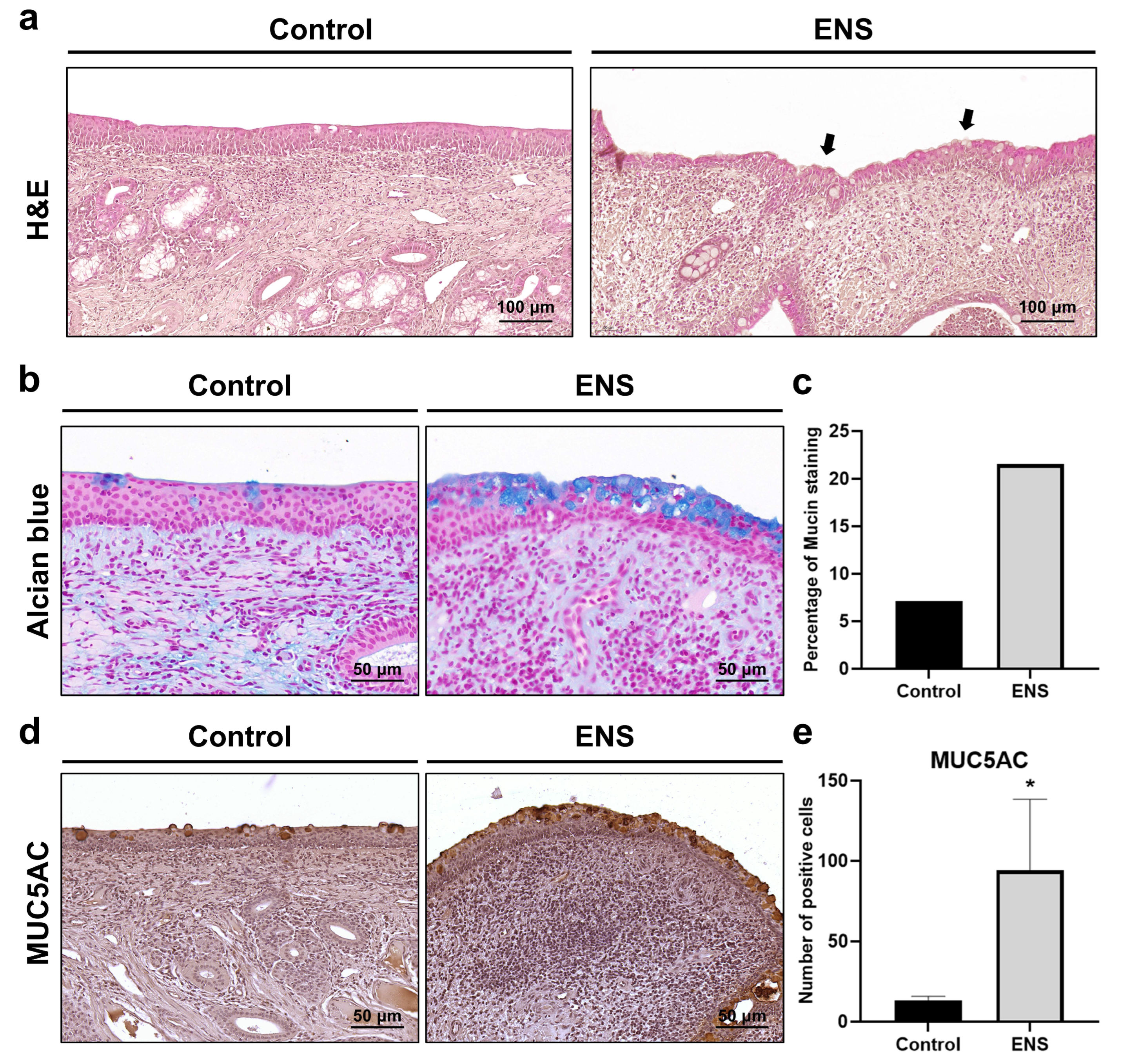 Medicina 60 01559 g005