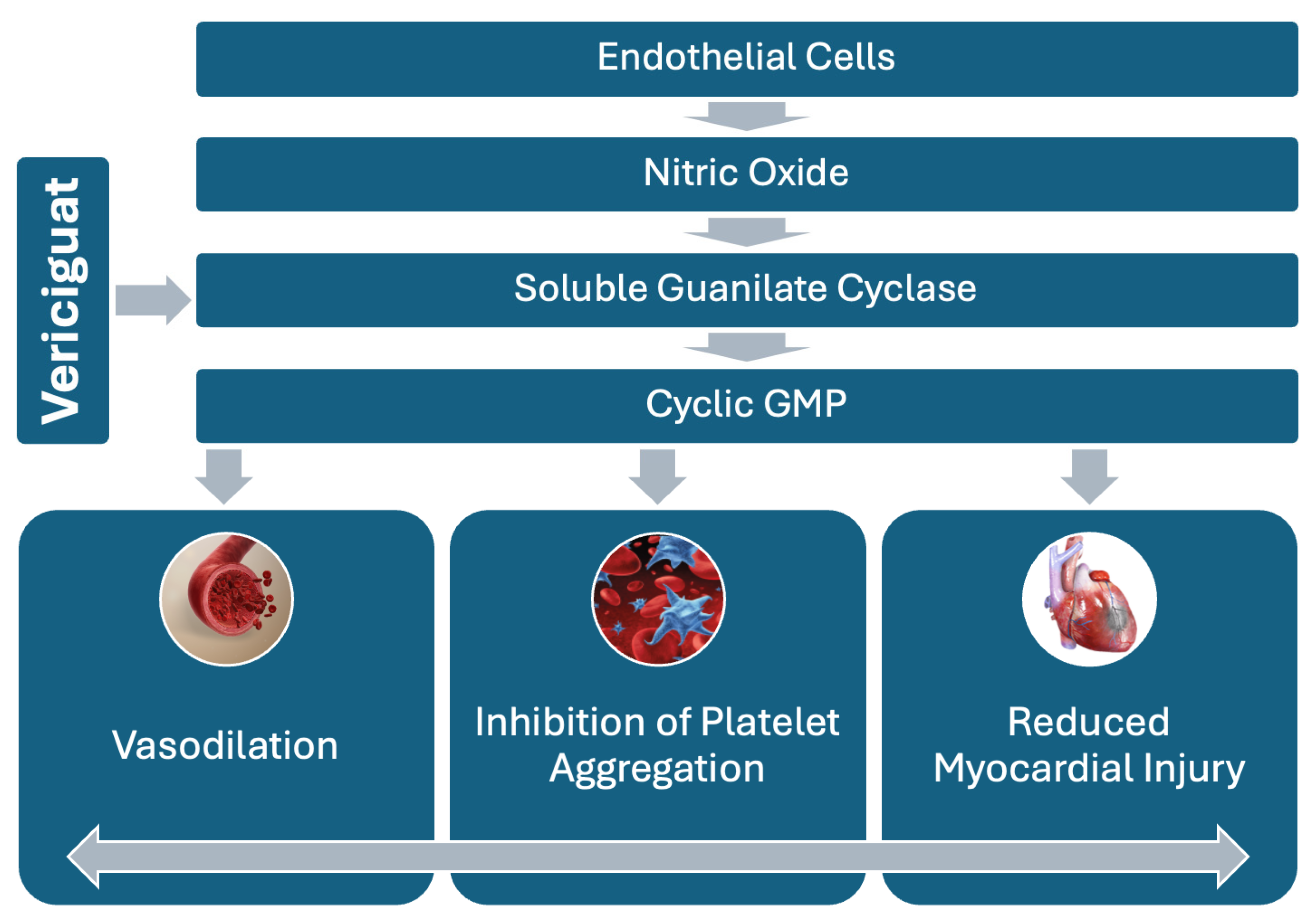 Medicina 60 01595 g002