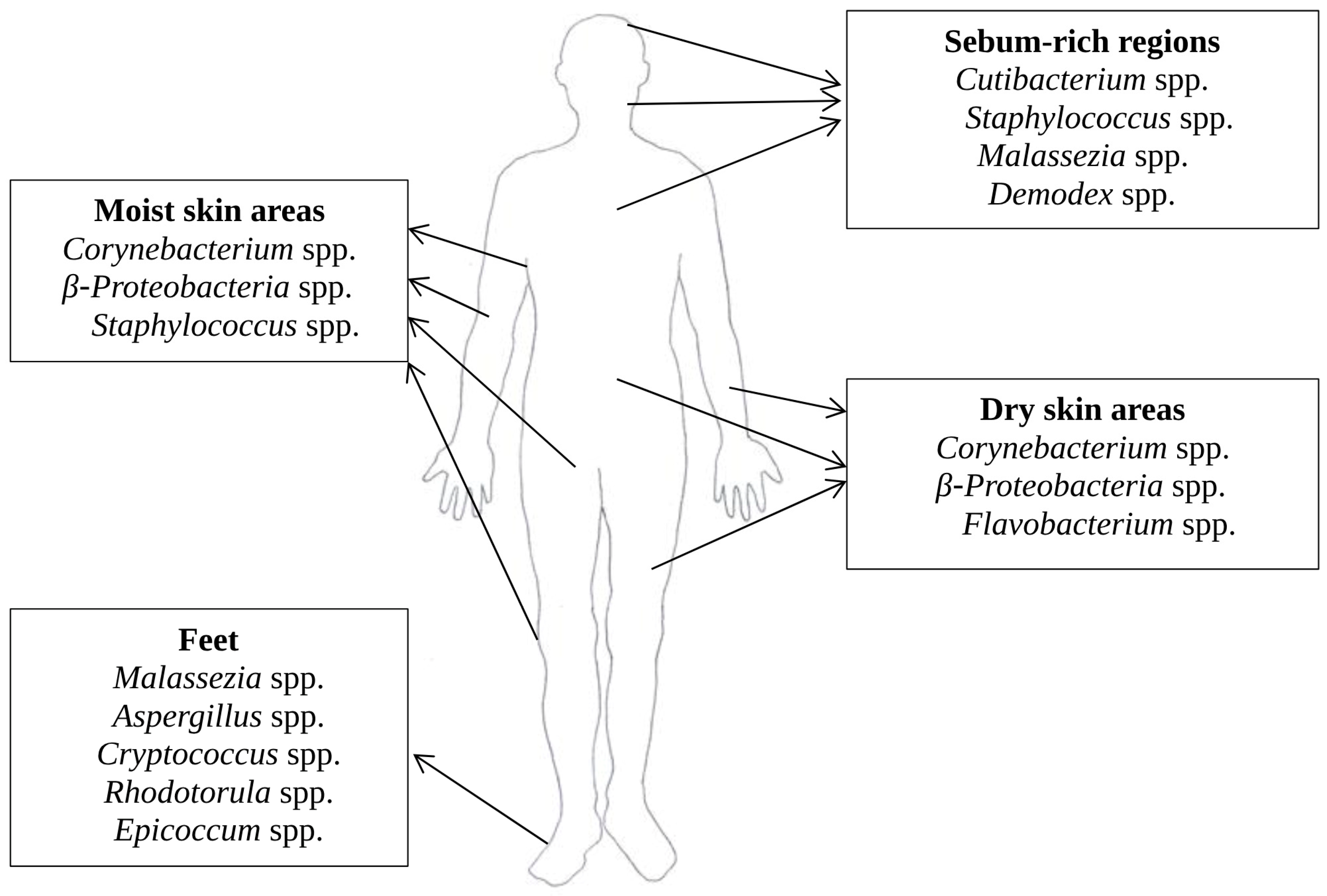 Medicina 60 01619 g001