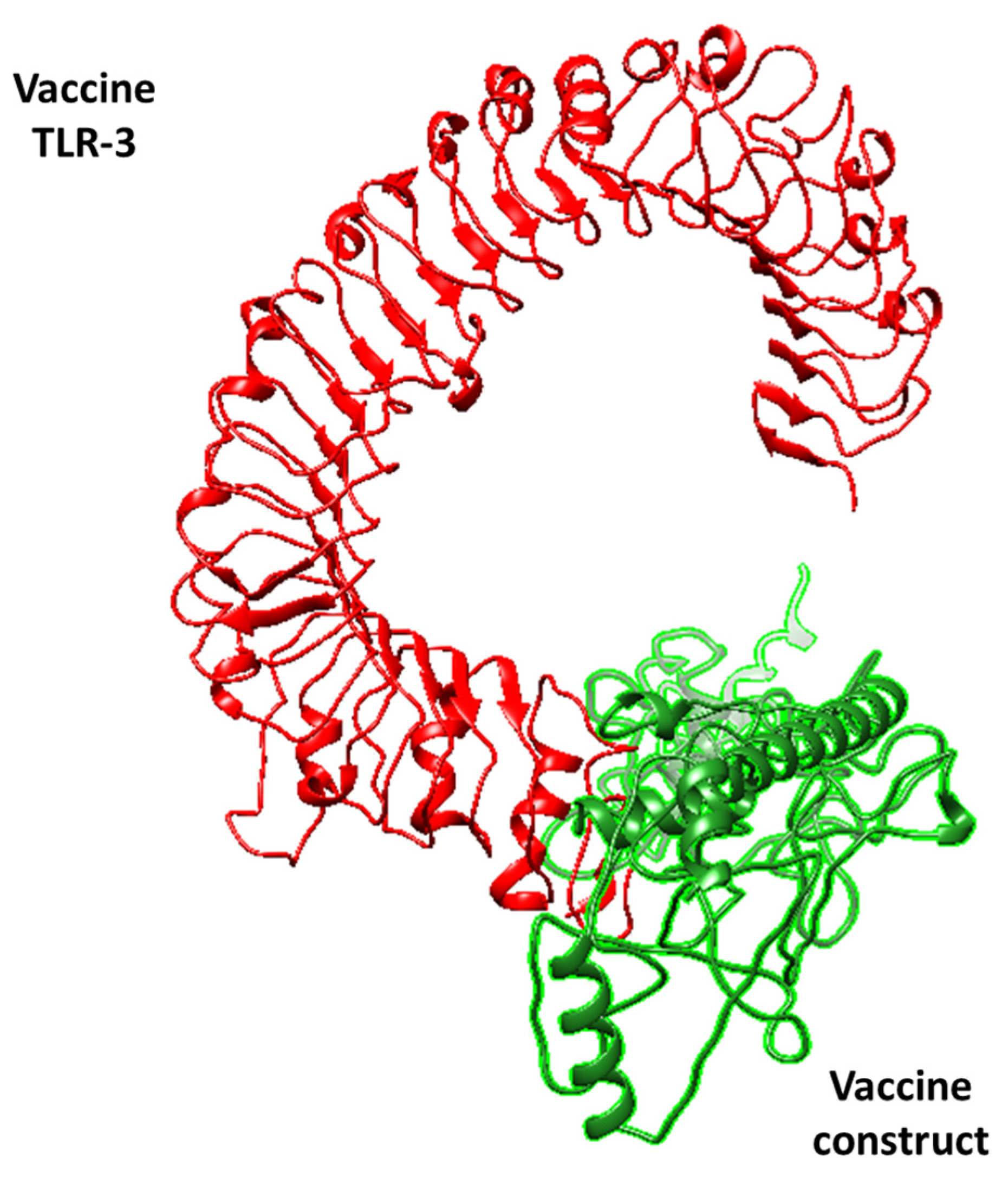 Medicina 60 01632 g004