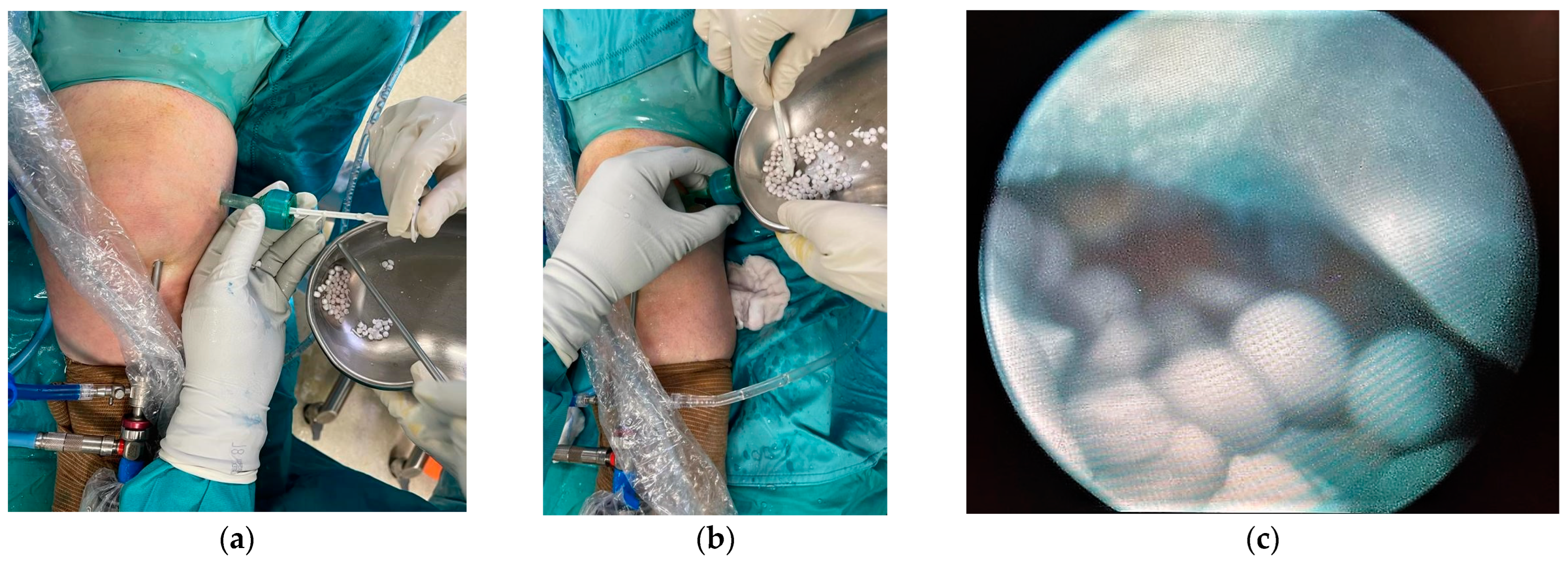 Medicina 60 01636 g004 Medicina 60 01636 g004