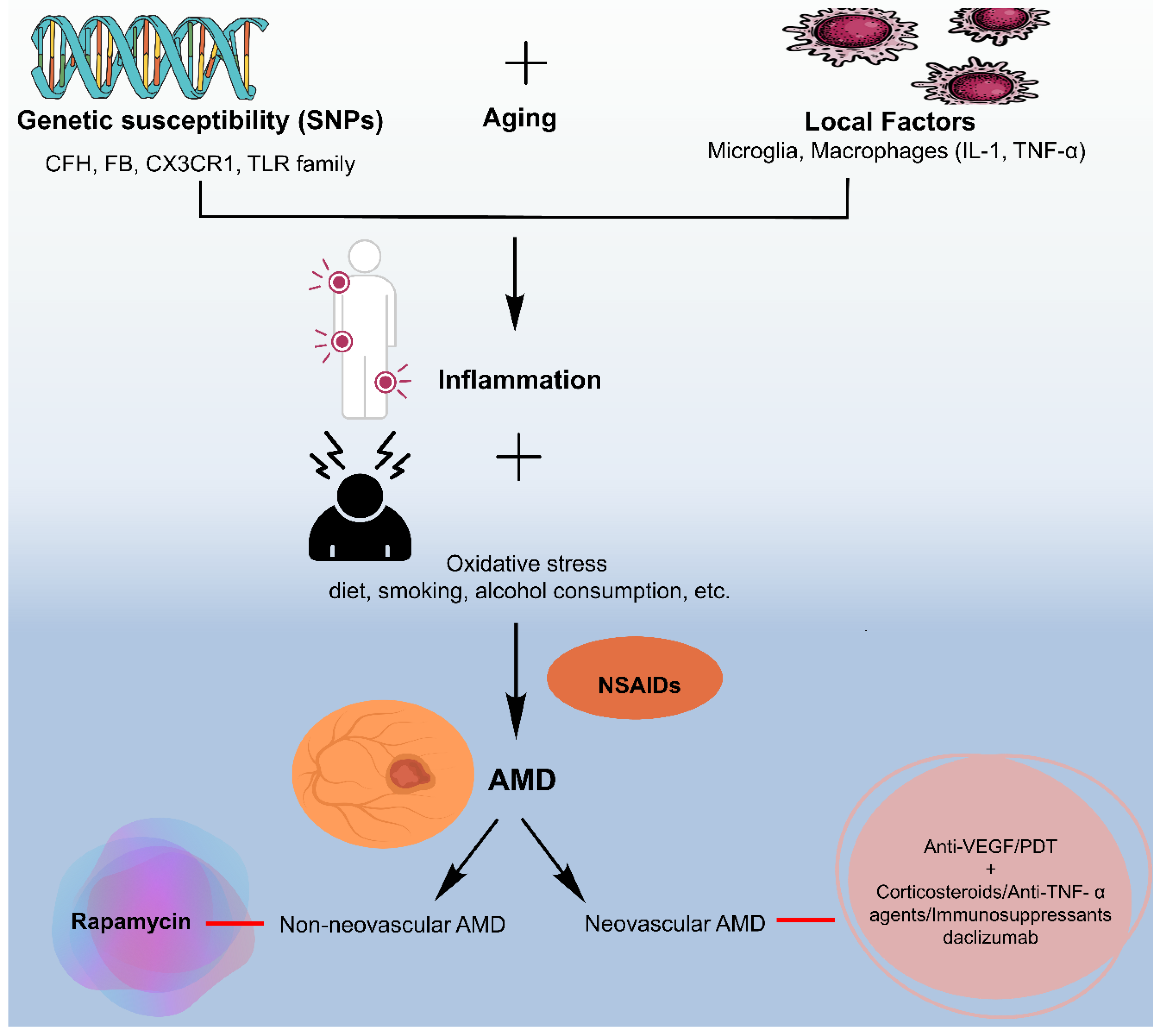 Medicina 60 01647 g004
