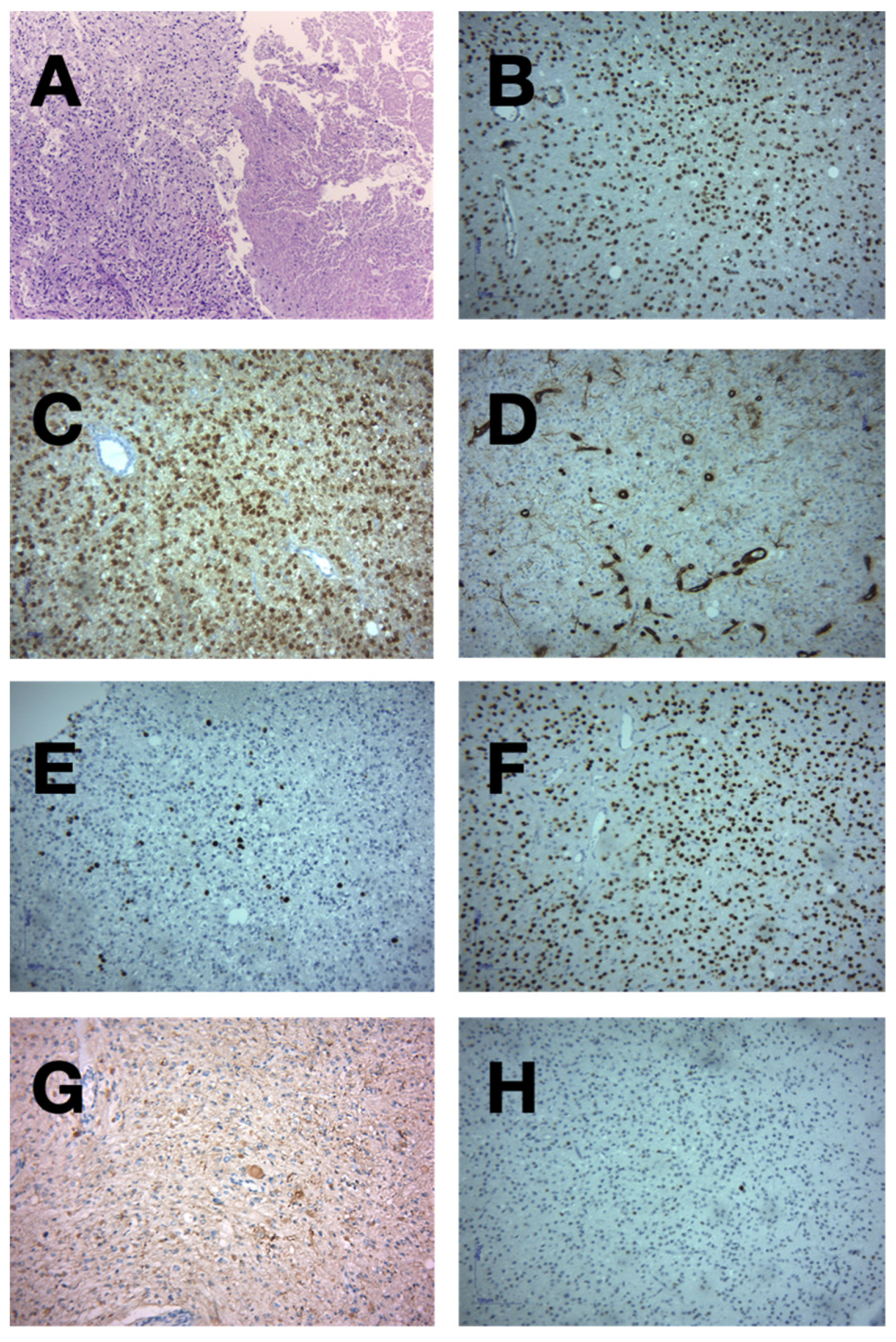 Medicina 60 01667 g005 Medicina 60 01667 g005